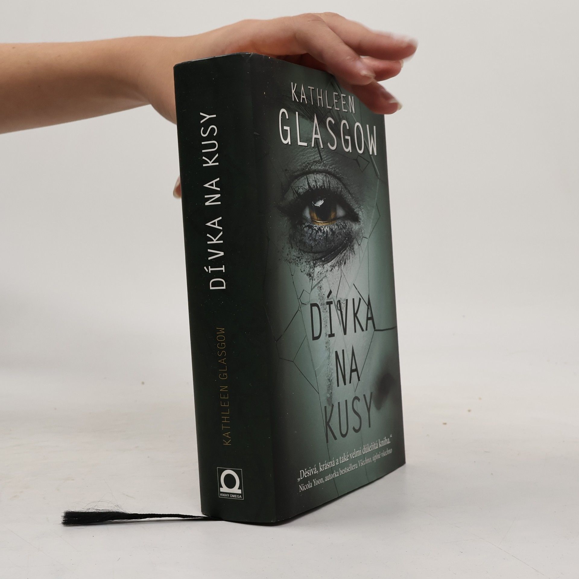 Kathleen Glasgow Dívka na kusy