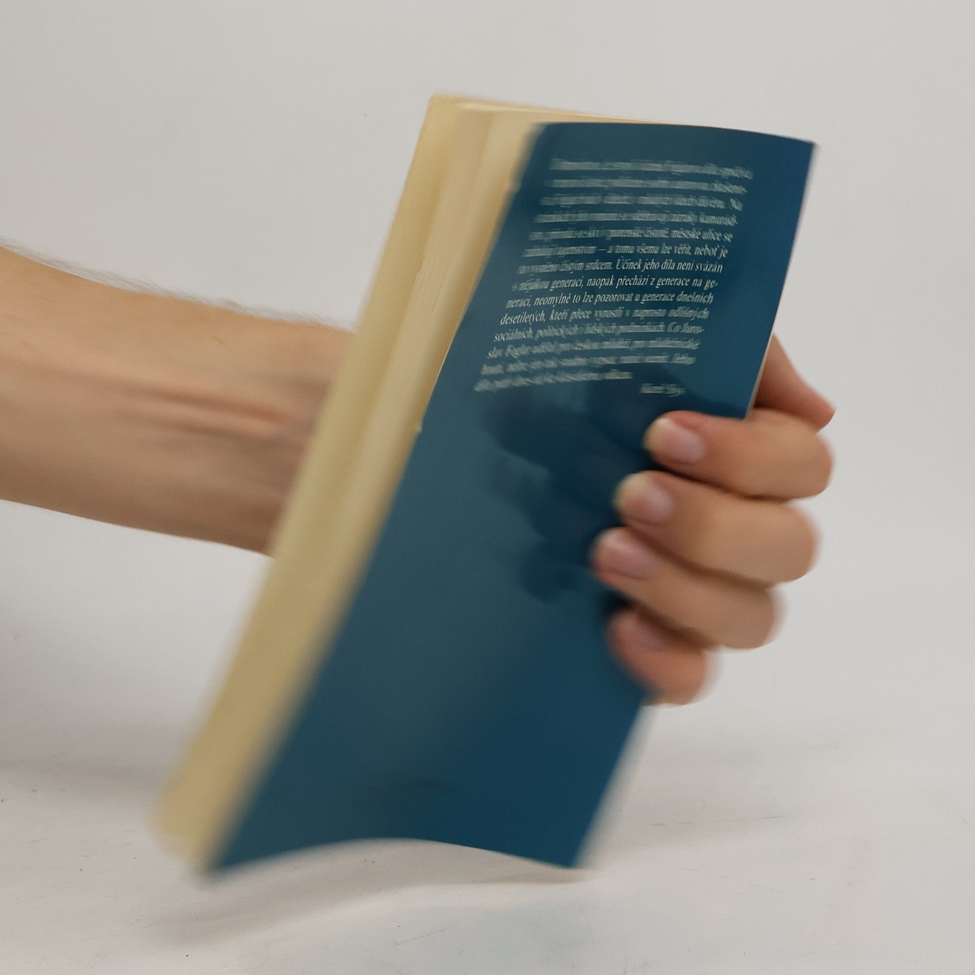 Jaroslav Foglar Chata v Jezerní kotlině