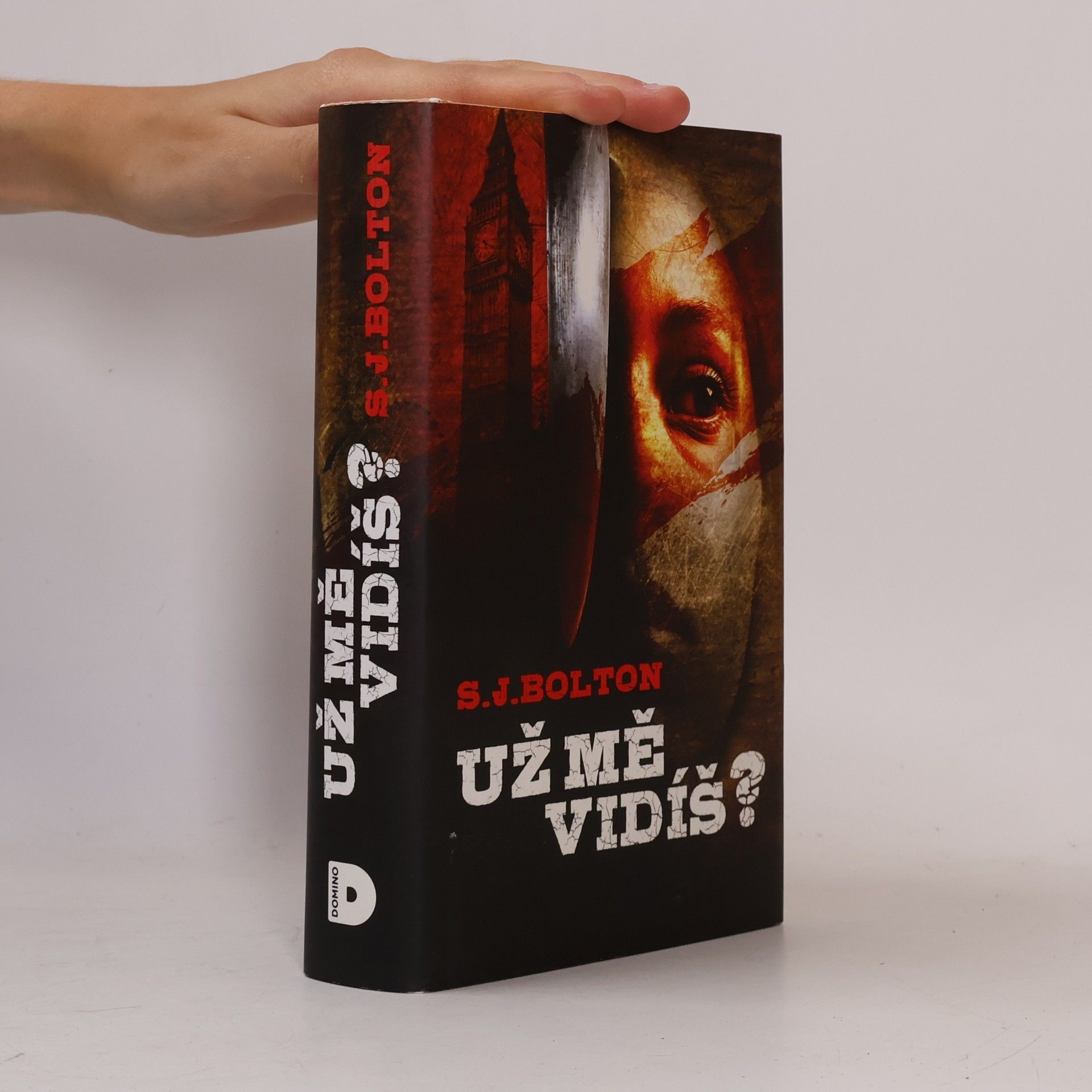 Sharon J. Bolton Už mě vidíš?