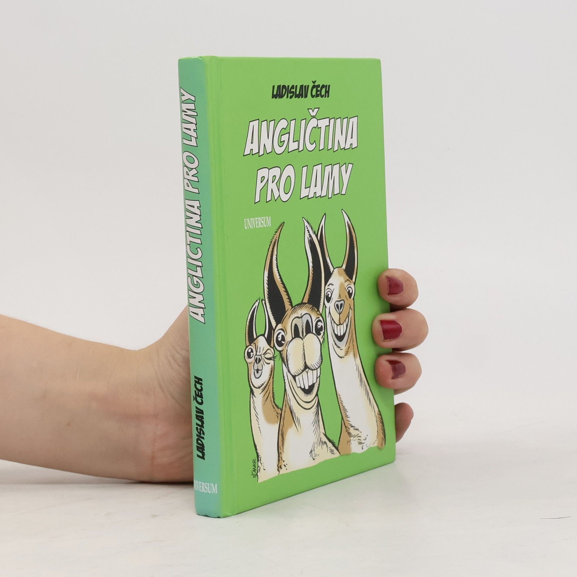 Ladislav Čech Angličtina pro lamy