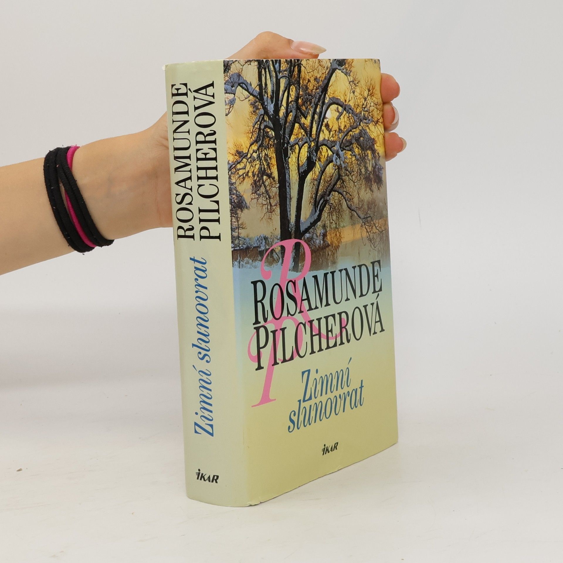 Rosamunde Pilcher Zimní slunovrat