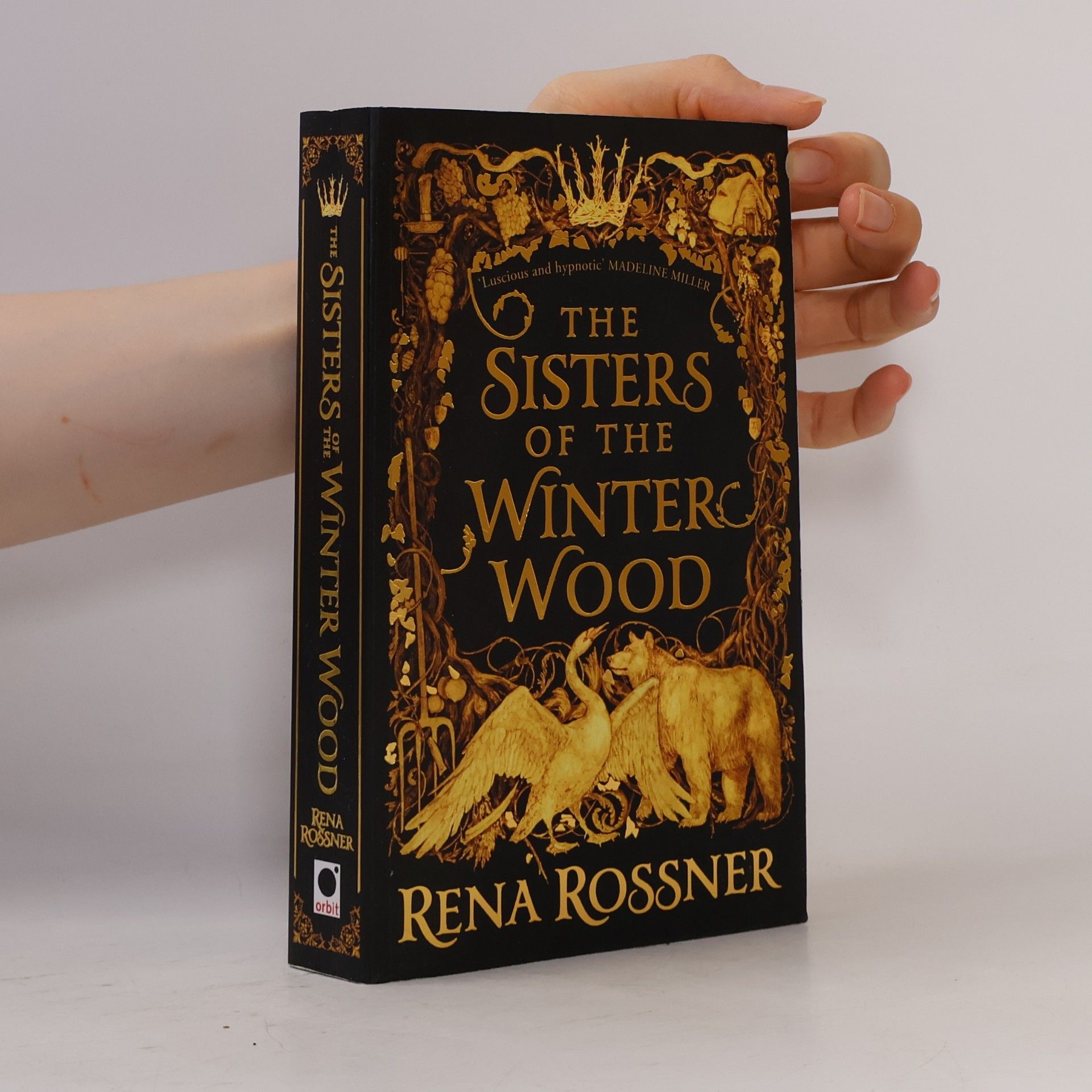 Rena Rossner The Sisters of the Winter Wood