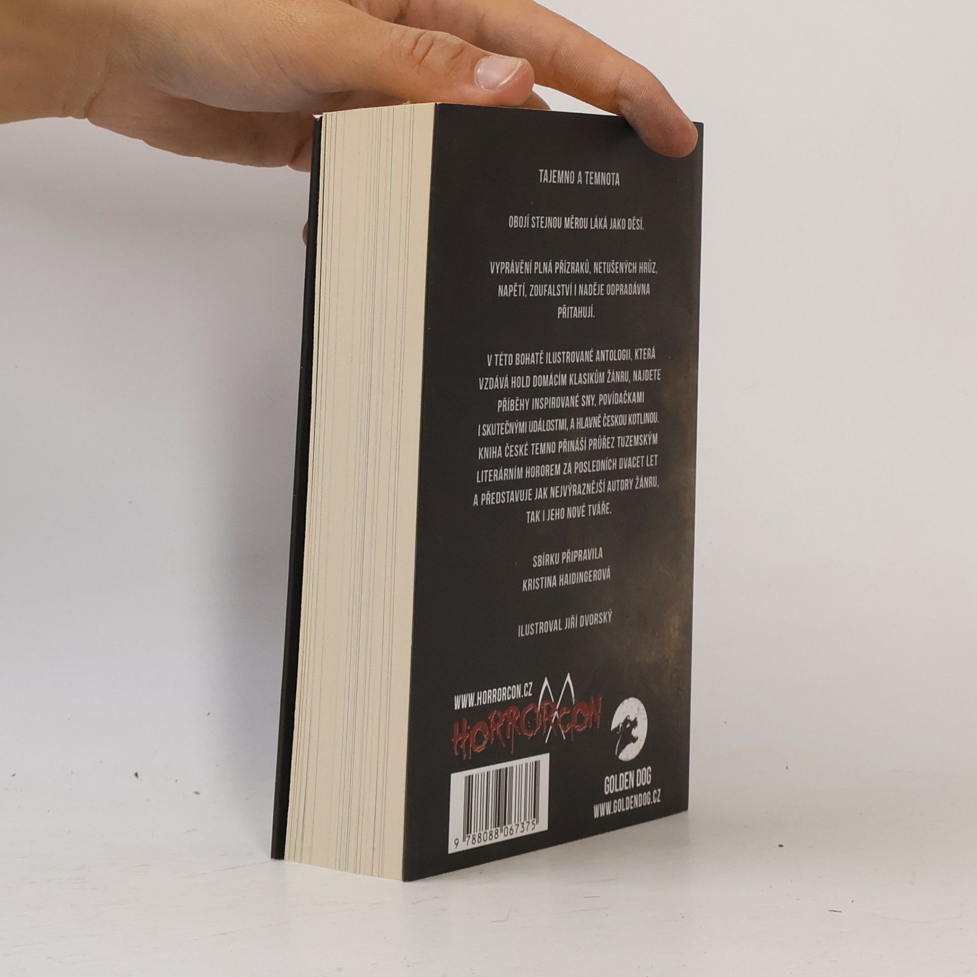 Collectif d'auteurs České temno : velká antologie českých hororových příběhů