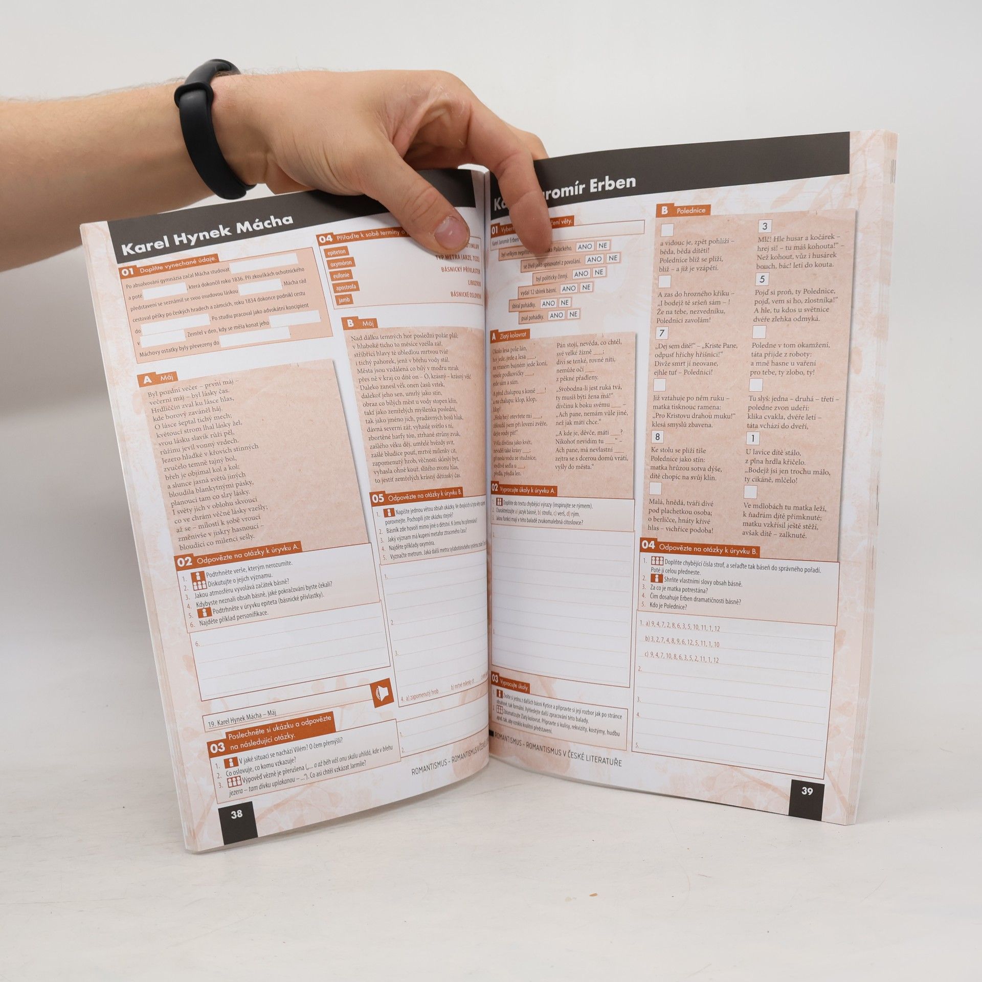 Autorenkollektiv Literatura pro 2. ročník středních škol : zkrácená verze. Pracovní sešit