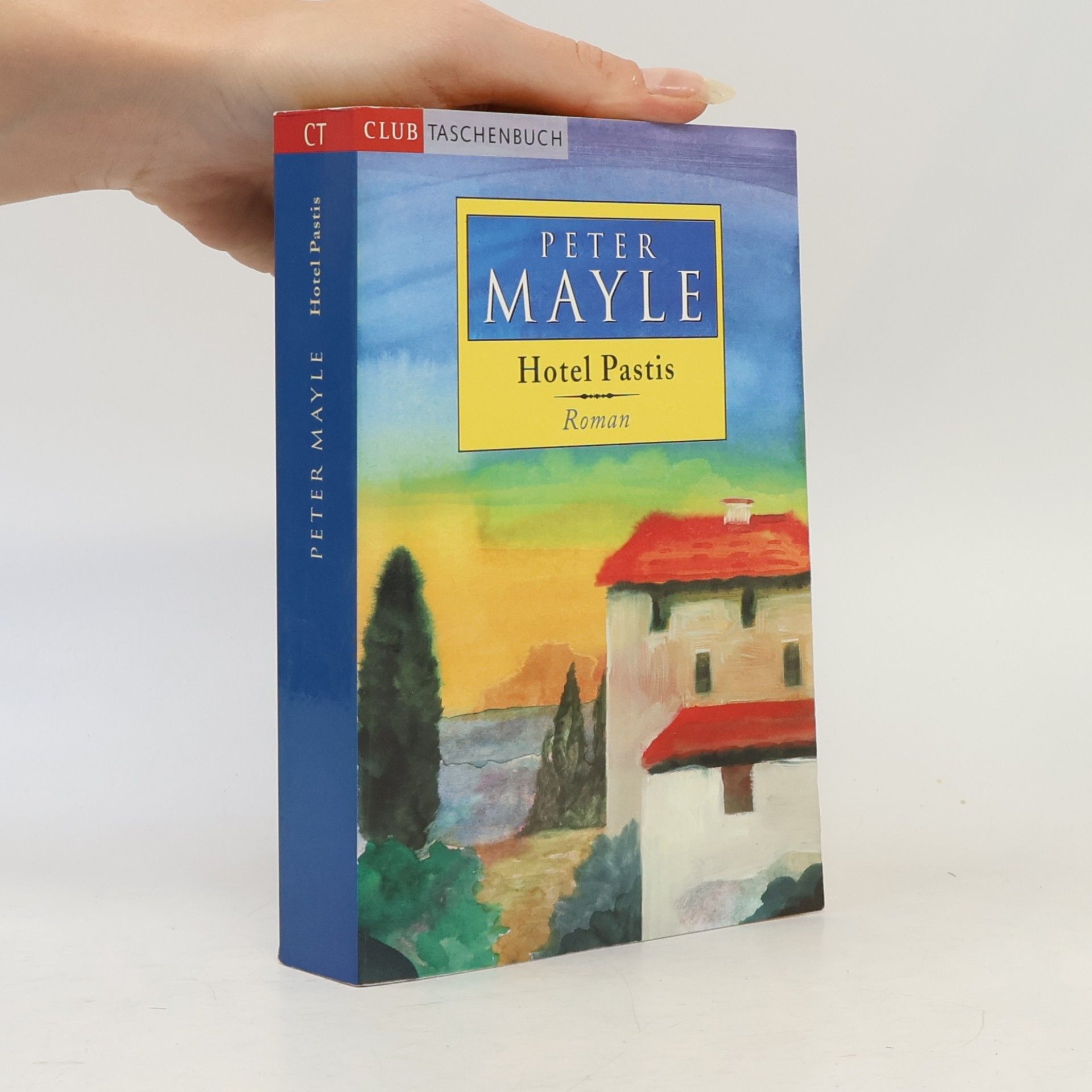 Peter Mayle Hotel Pastis