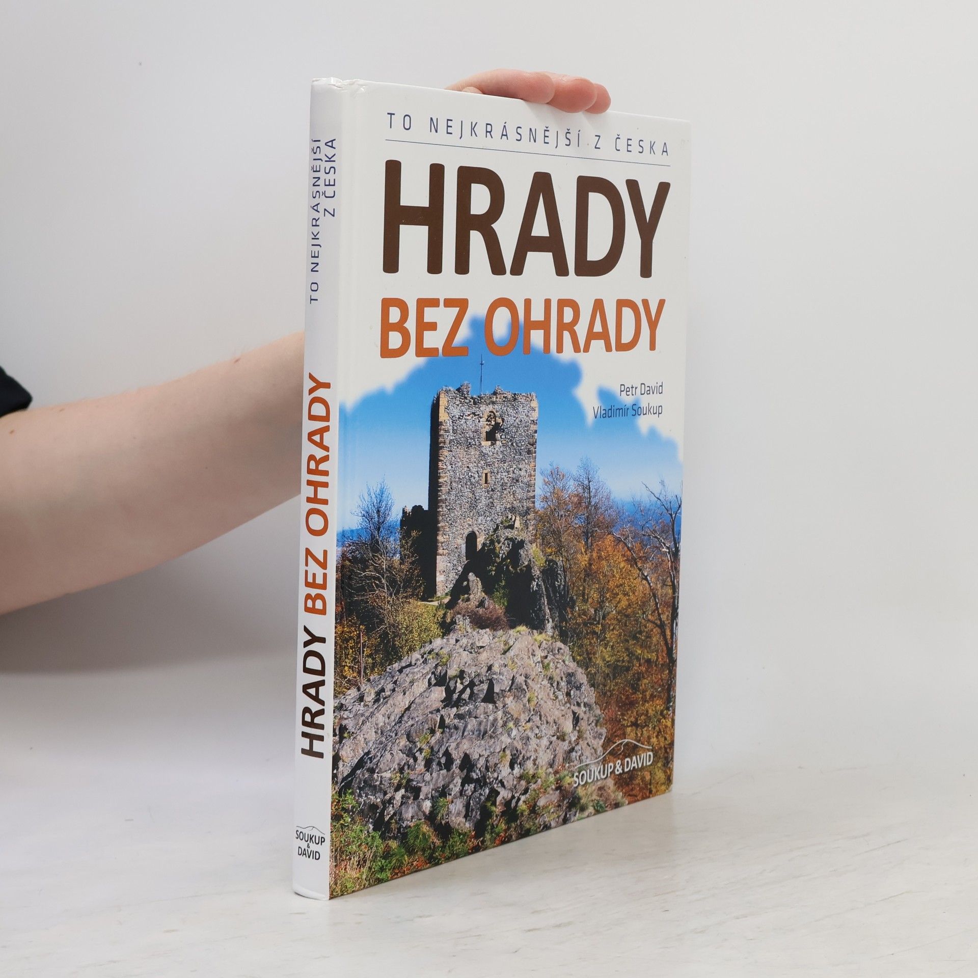 Peter David Hrady bez ohrady