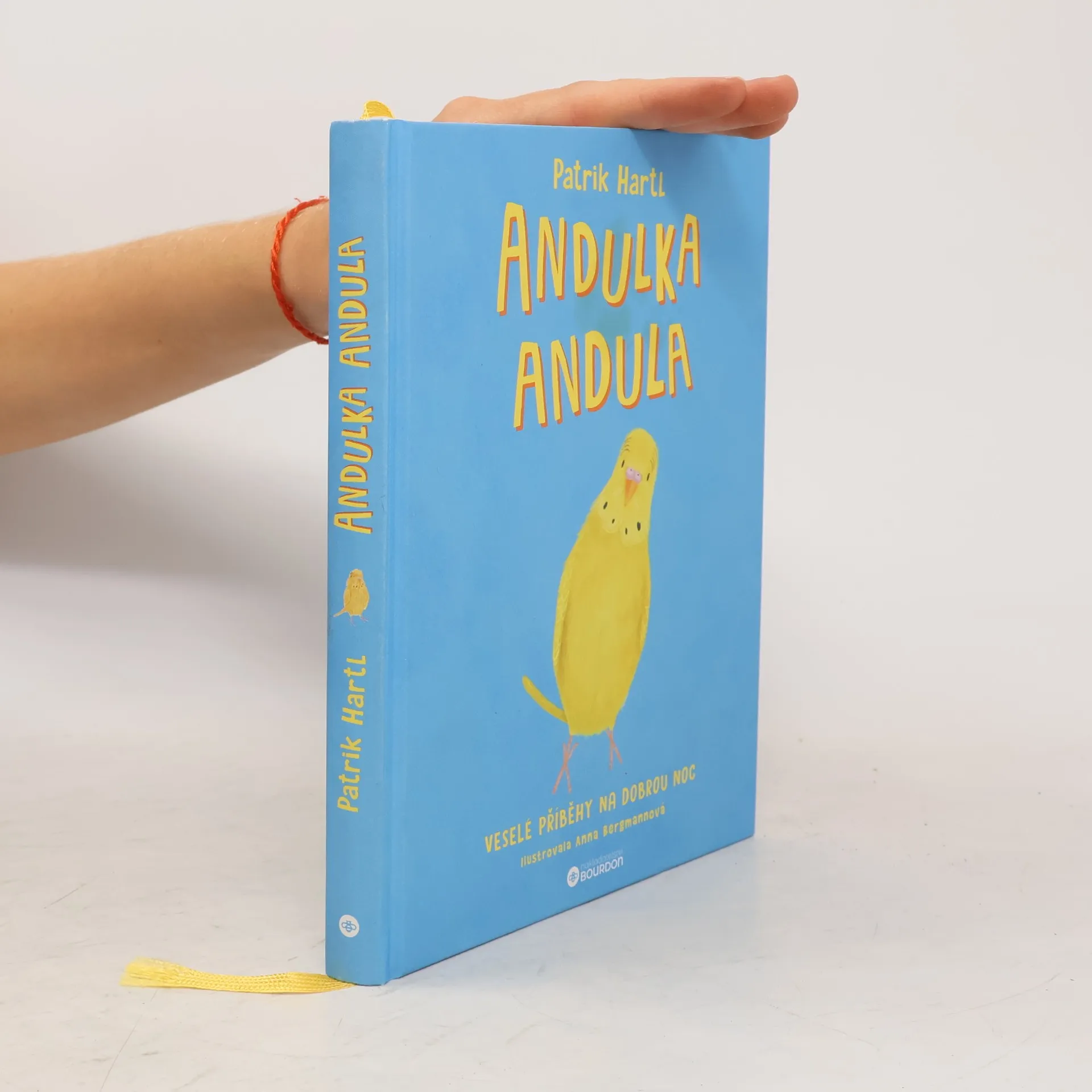 Andulka Andula | Patrik Hartl | Tschechisch | Buch