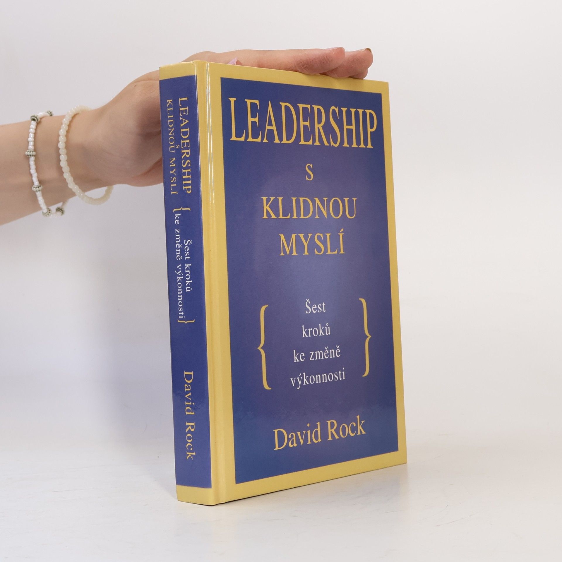 David Rock Leadership s klidnou myslí