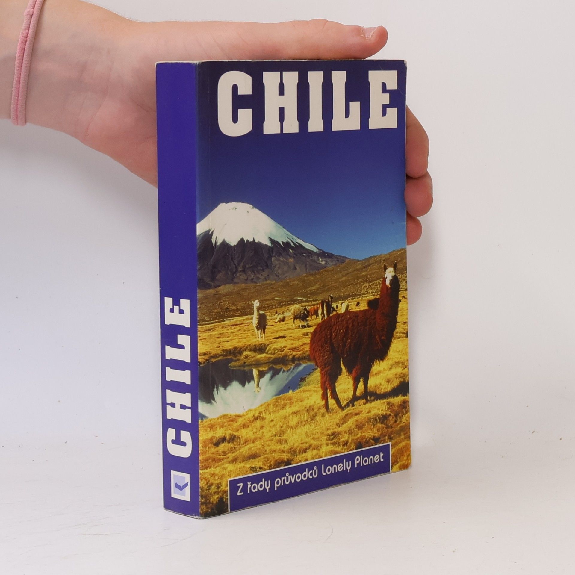 Jeff Davis Chile