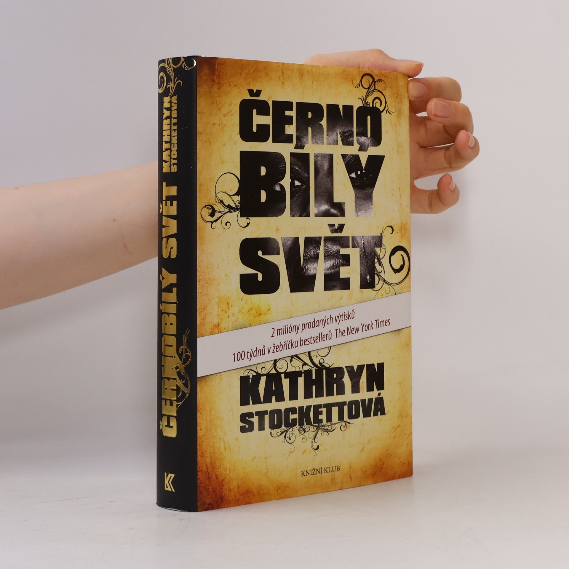 Kathryn Stockett Černobílý svět