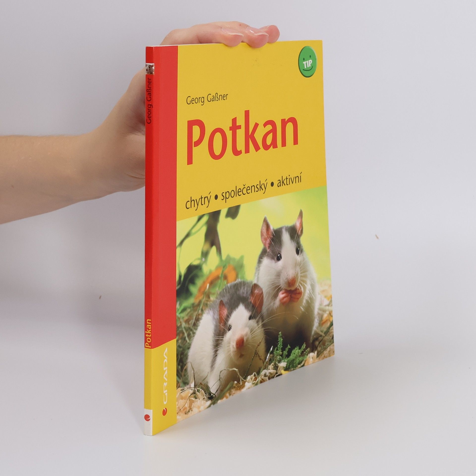 Georg Gaβner Potkan - chytrý, společenský, aktivní