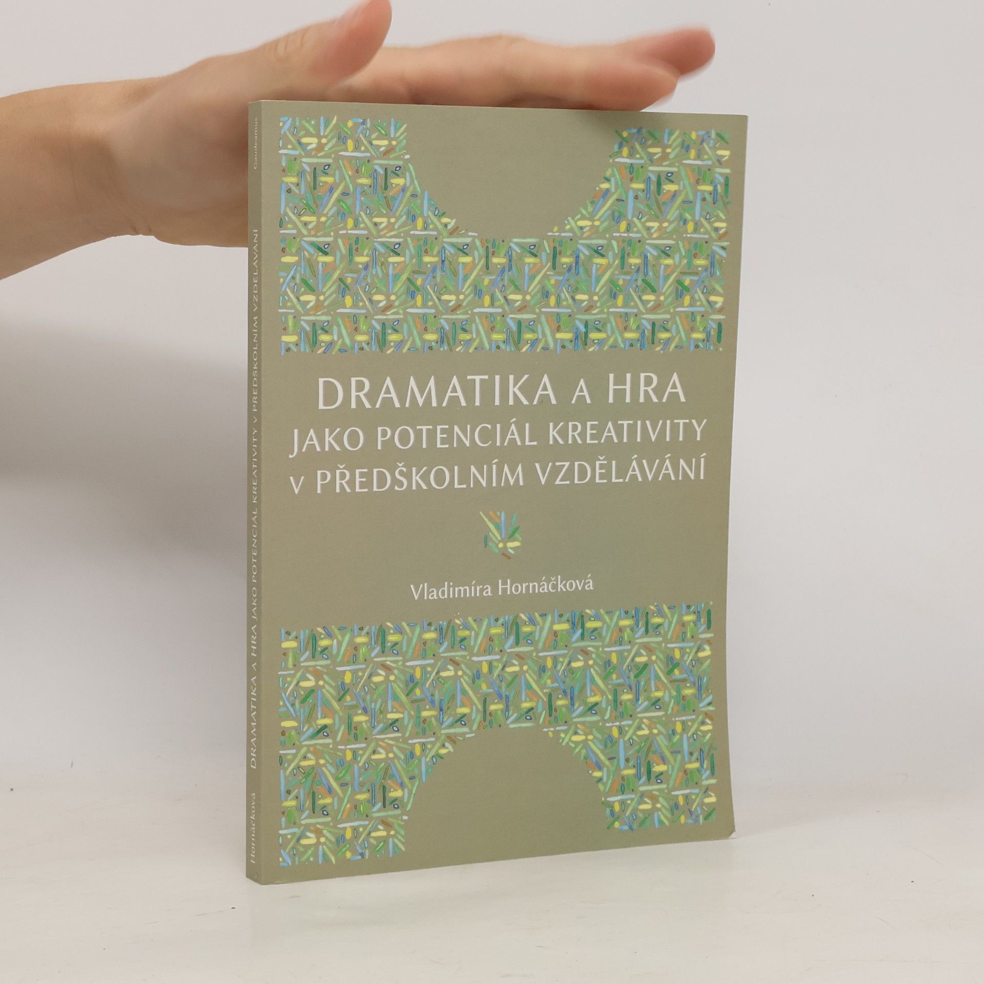 Dramatika a hra jako potenciál kreativity v předškolním vzdělávání
