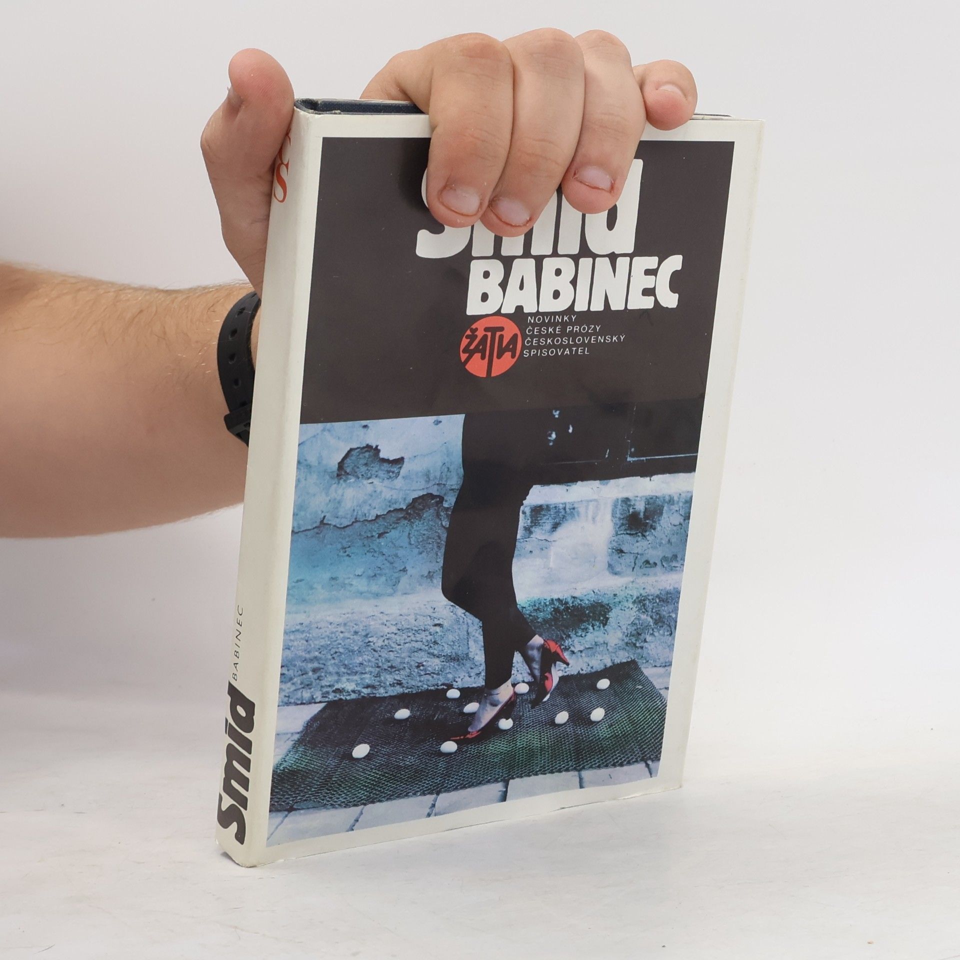 Zdeněk Šmíd Babinec