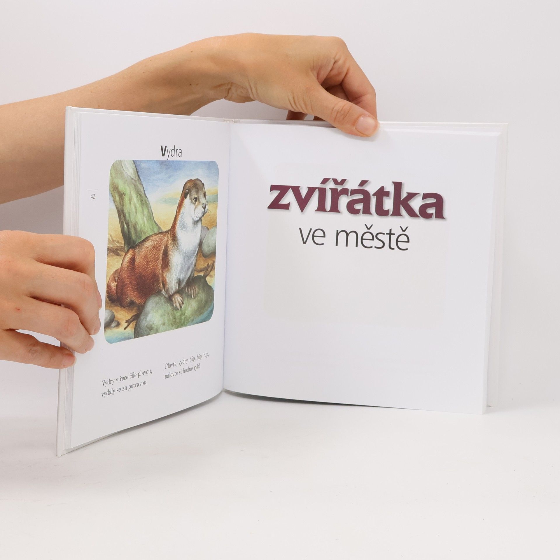 Jiří Žáček Kamarádi zvířátka