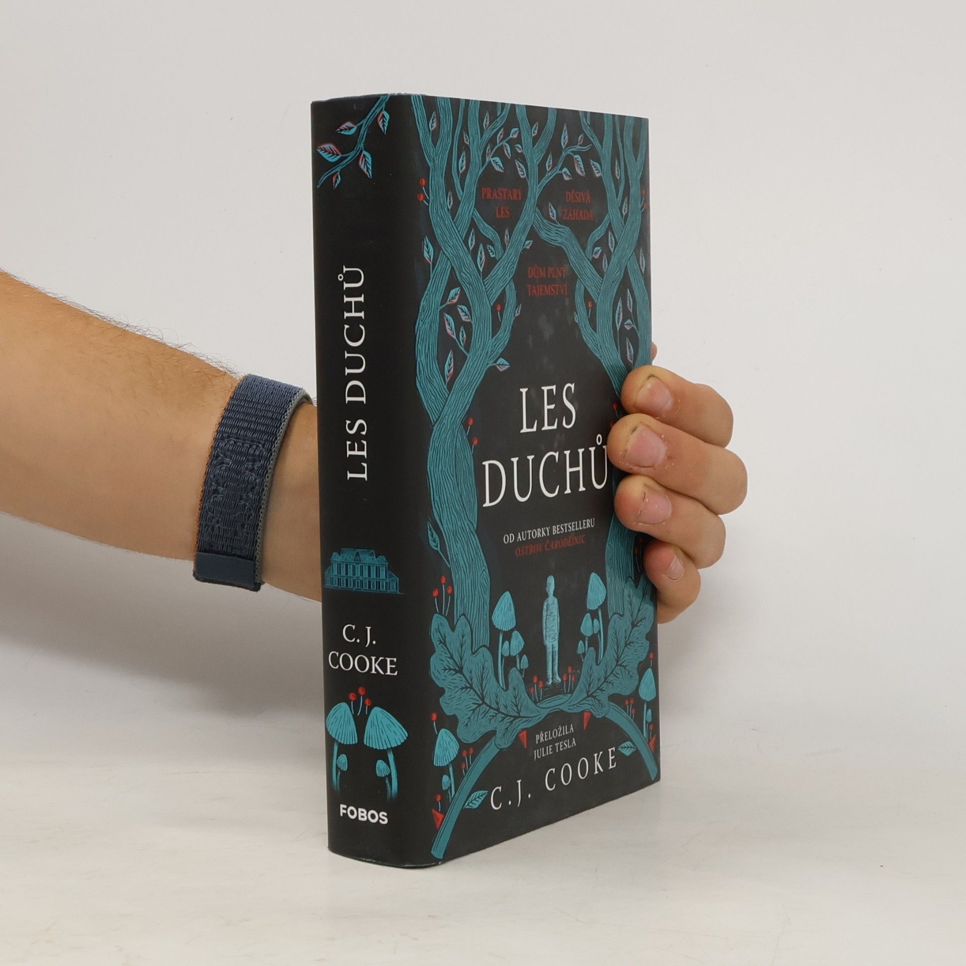 Carolyn Jess Cooke Les duchů