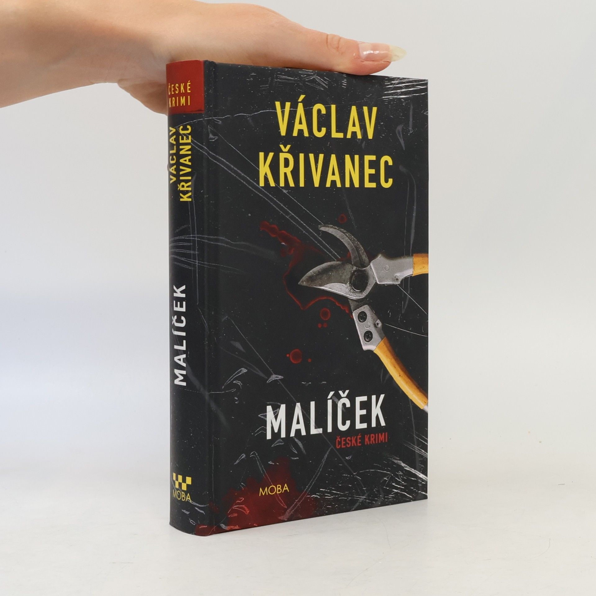 Václav Křivanec Malíček