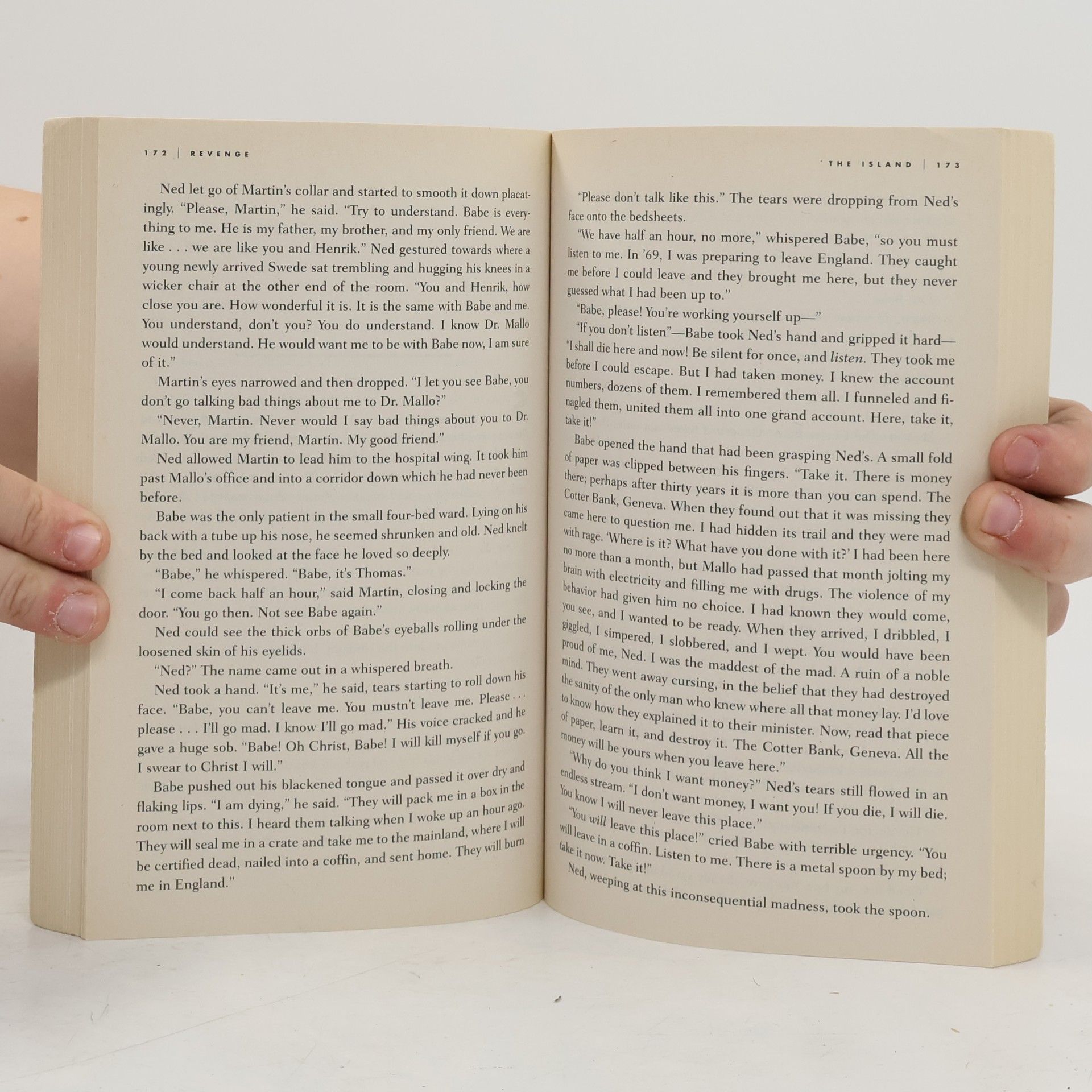 Stephen Fry Revenge: With a New Afterword by the Author