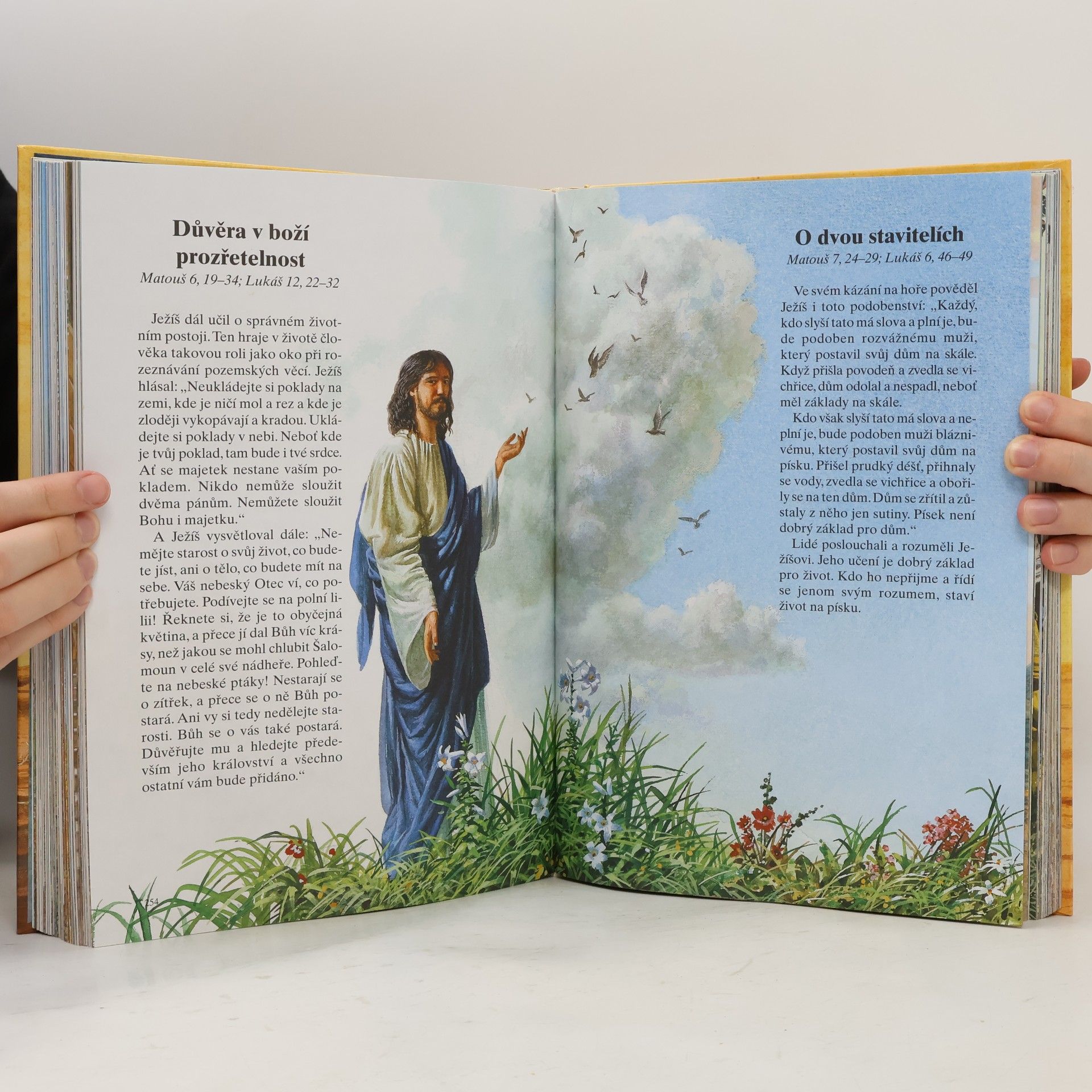 Various authors Dětská ilustrovaná bible