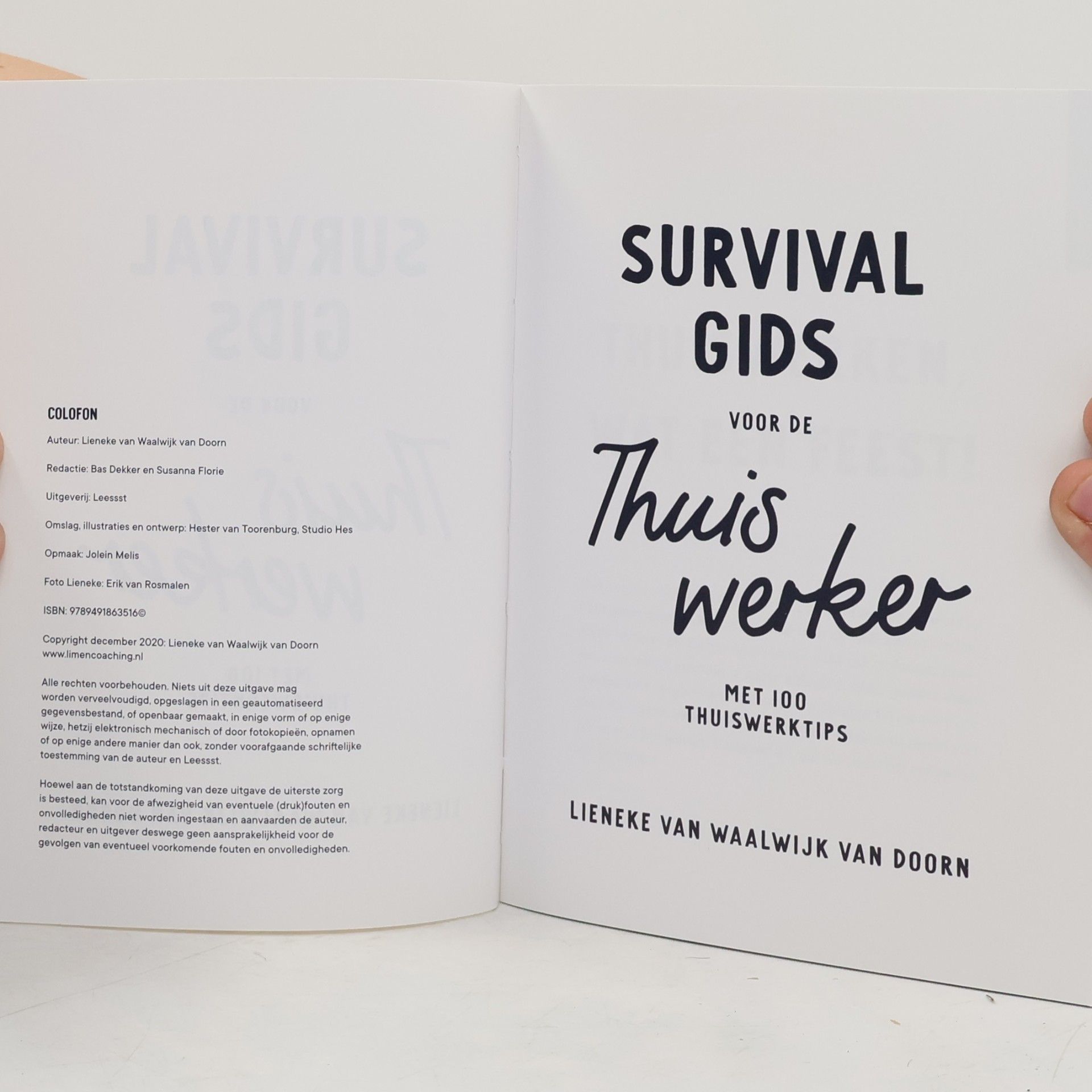 Lieneke van Waalwijk van Doorn Survival gids voor de thuiswerker: met 100 thuiswerktips