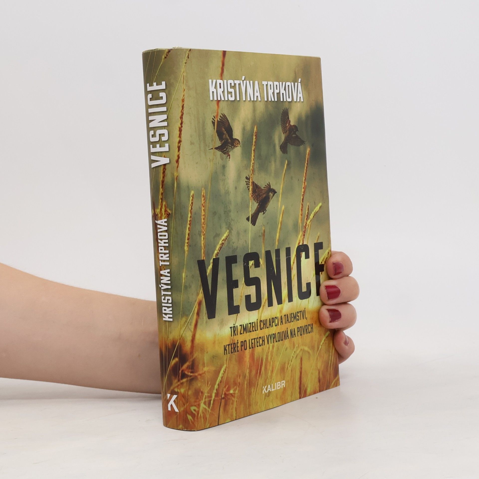 Vesnice