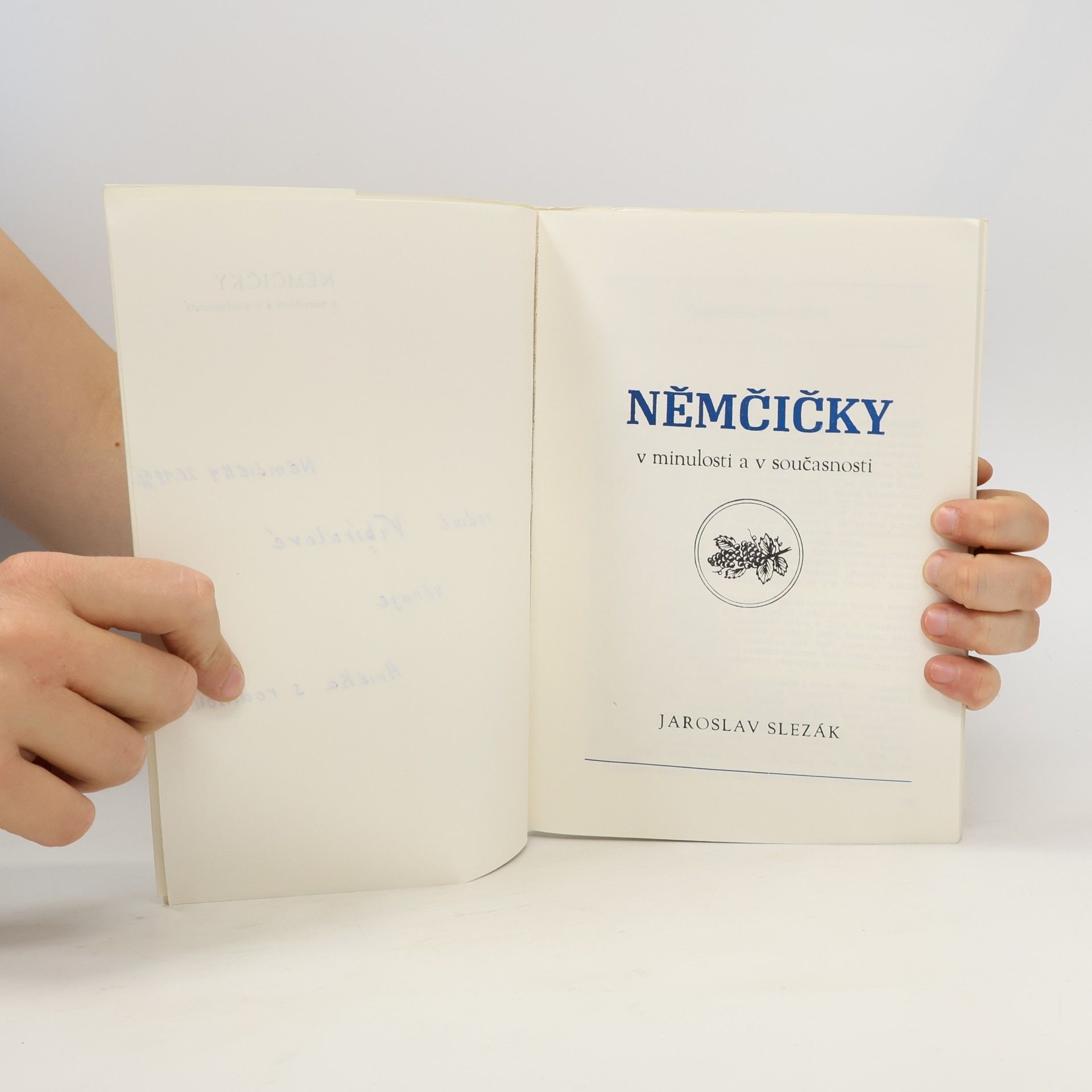 Jaroslav Slezák Němčičky v minulosti a v současnosti