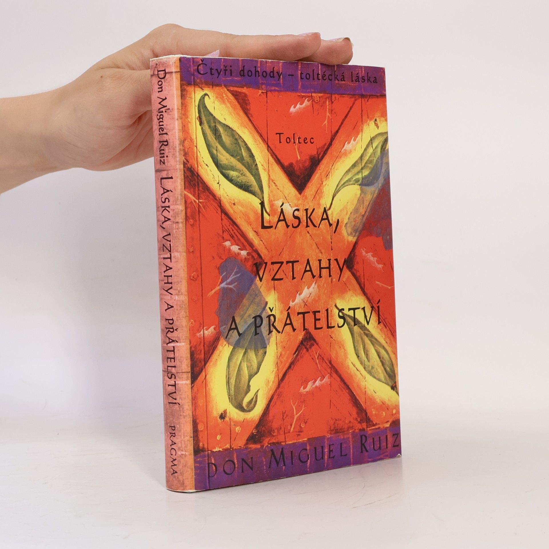 Don Miguel Ruiz Láska, vztahy a přátelství