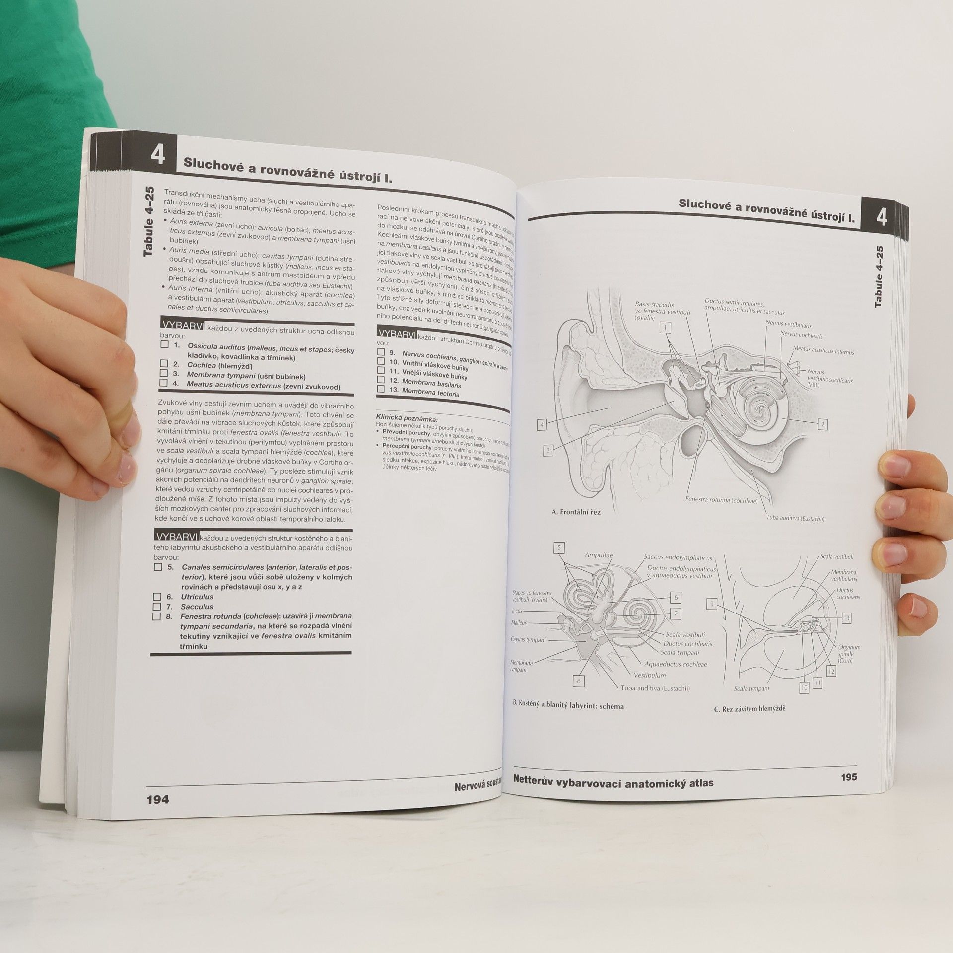 John T. Hansen Netterův vybarvovací anatomický atlas