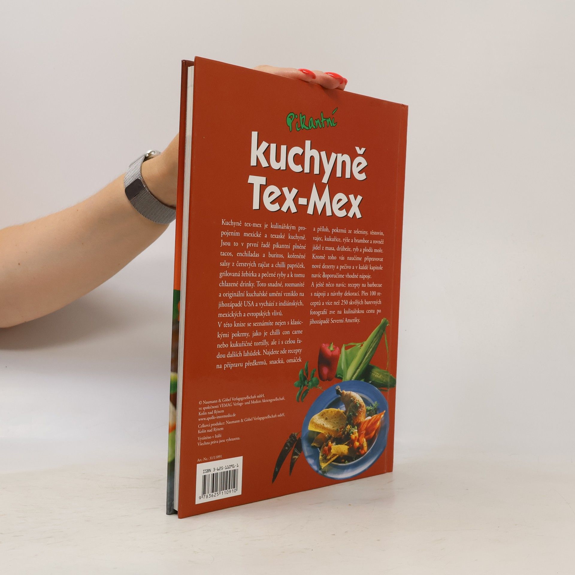 Kolektiv autorů Pikantní kuchyně Tex-Mex