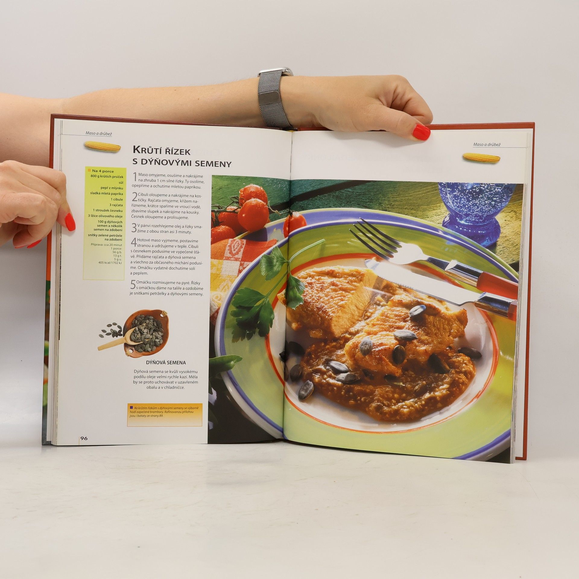 Kolektiv autorů Pikantní kuchyně Tex-Mex