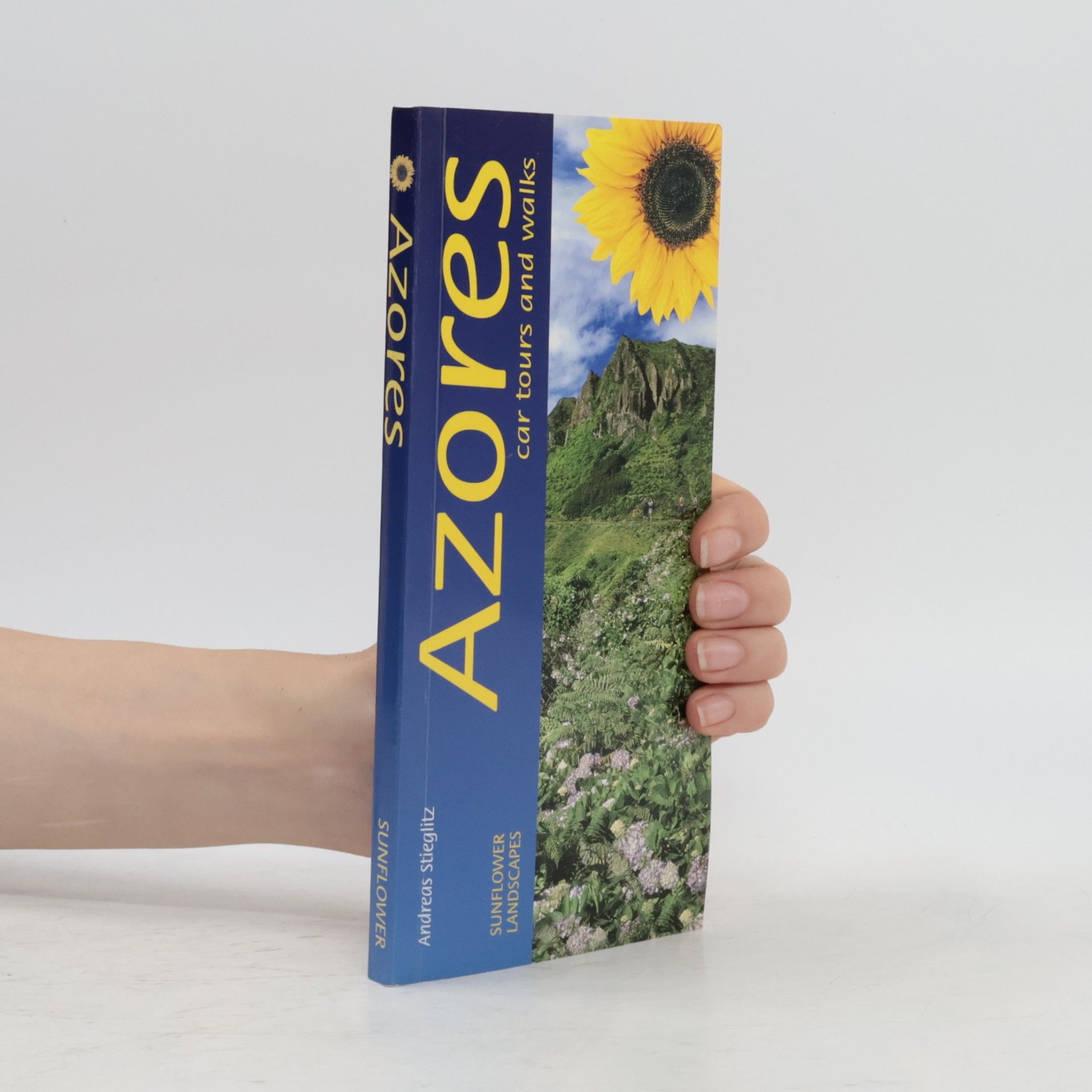 Sunflower Landscapes: Azores