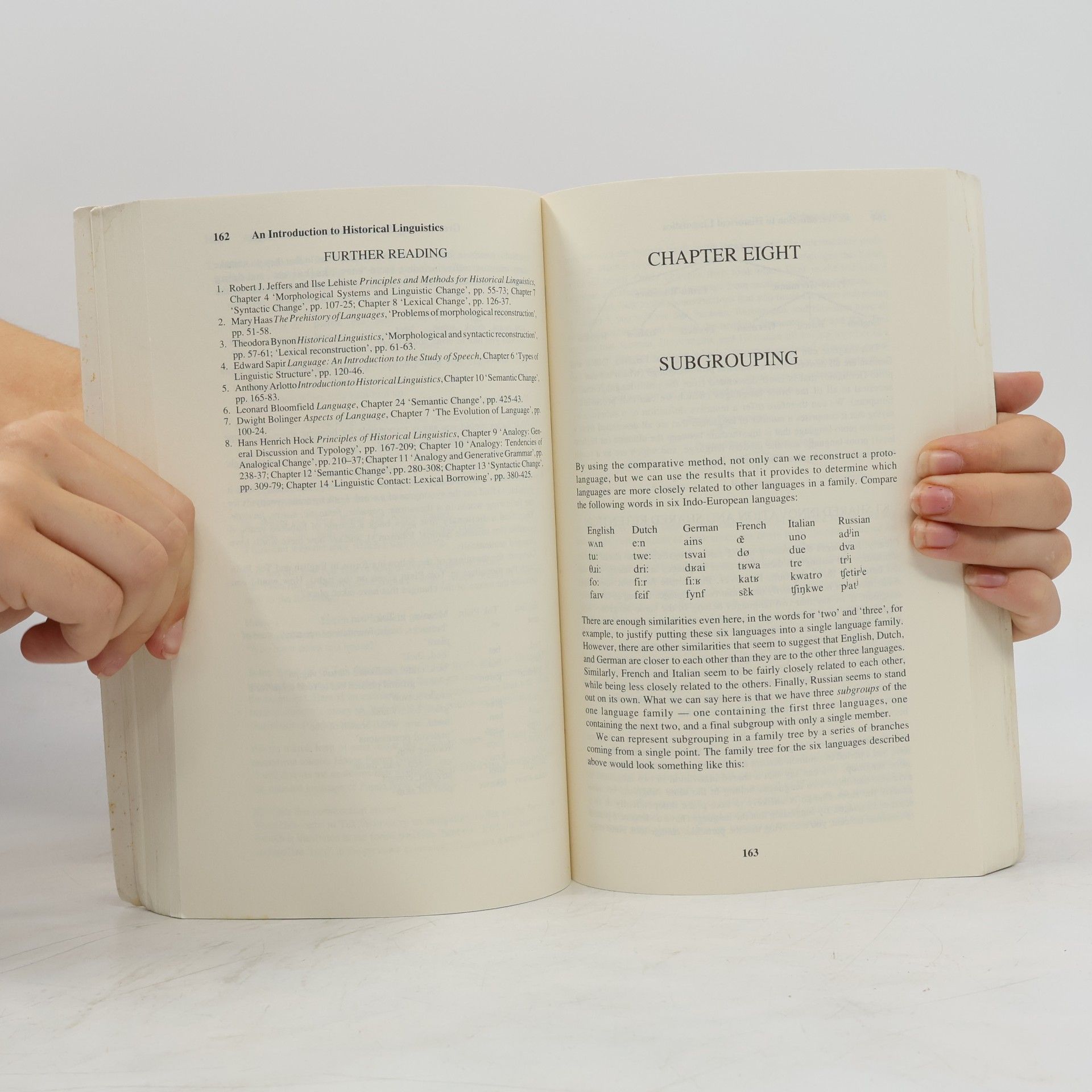 Terry Crowley An Introduction to Historical Linguistics - Second Edition
