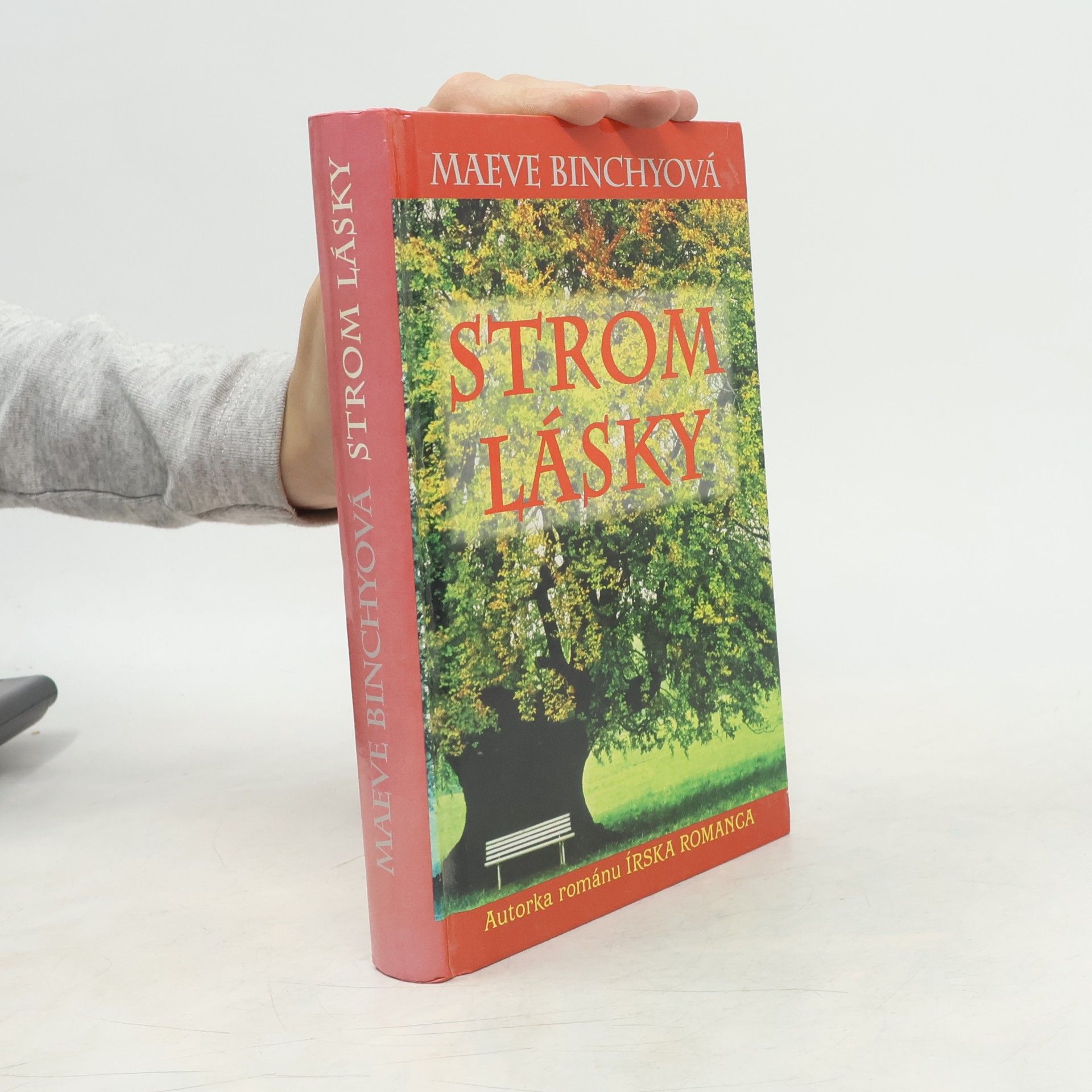 Maeve Binchy Strom lásky