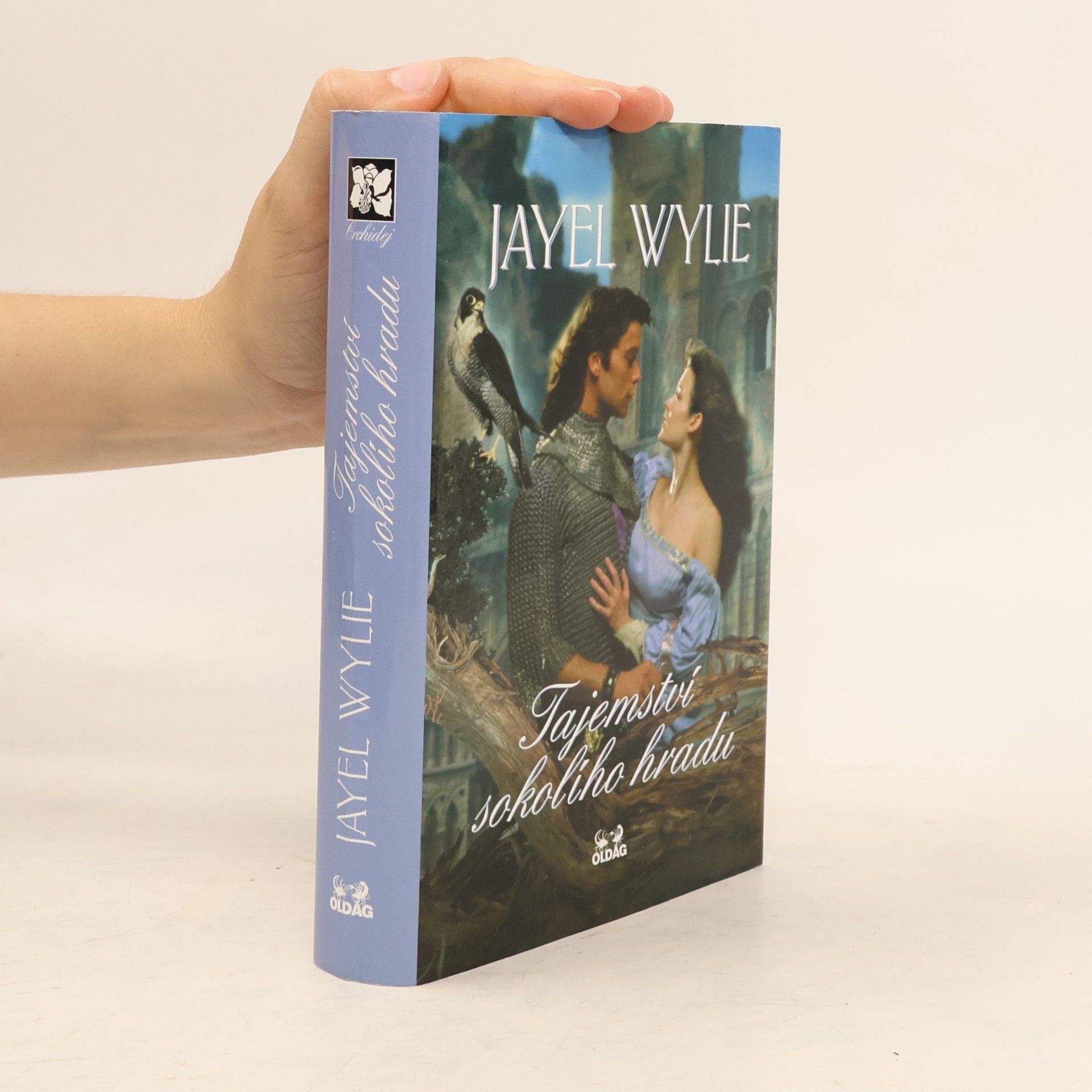 Jayel Wylie Tajemství sokolího hradu