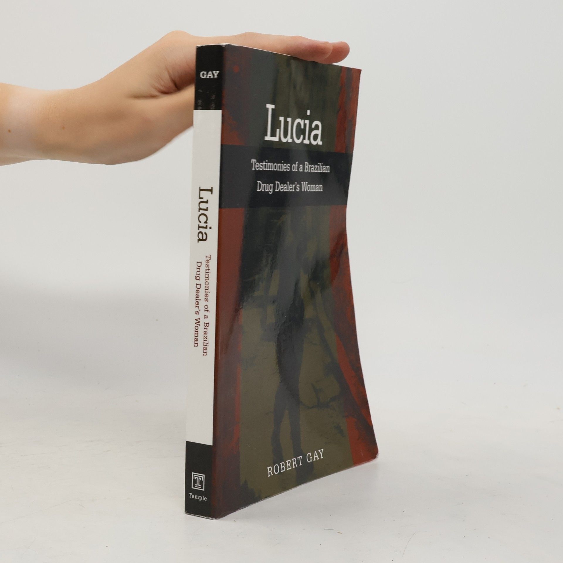 Robert Gay Voices Of Latin American Life: Lucia: Testimonies Of A Brazilian