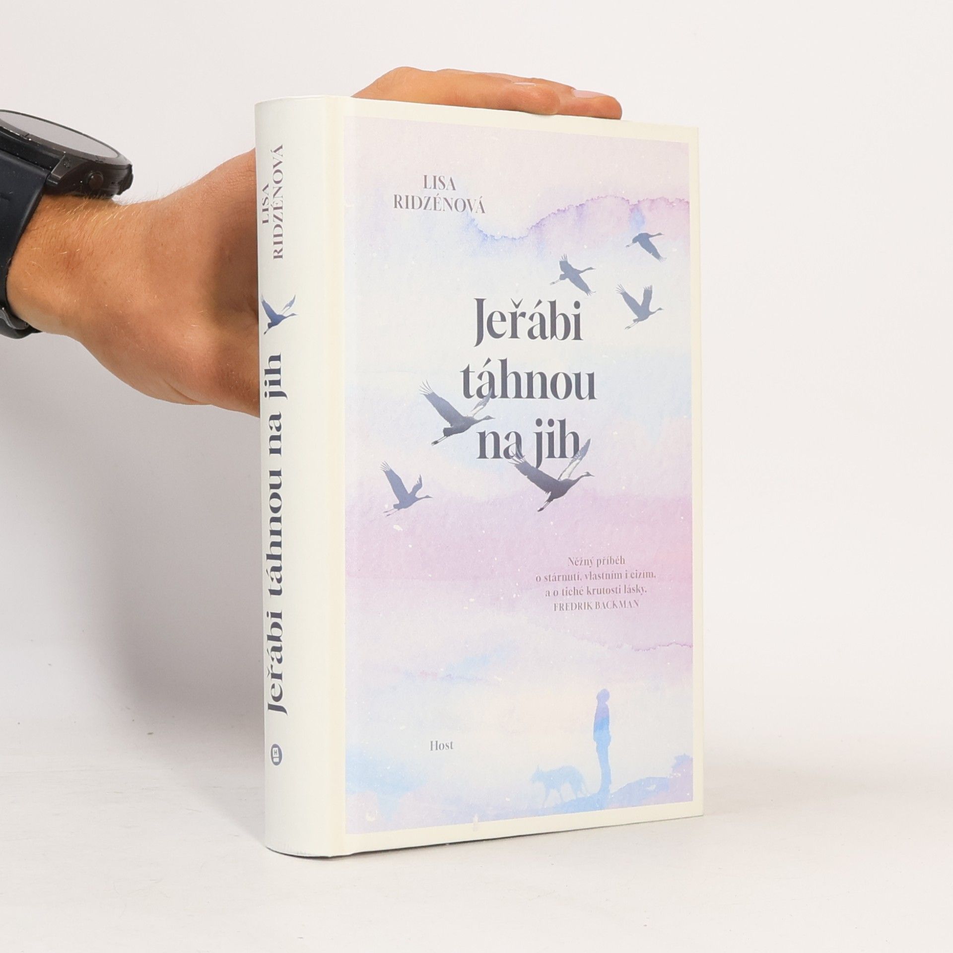 Lisa Ridzén Jeřábi táhnou na jih