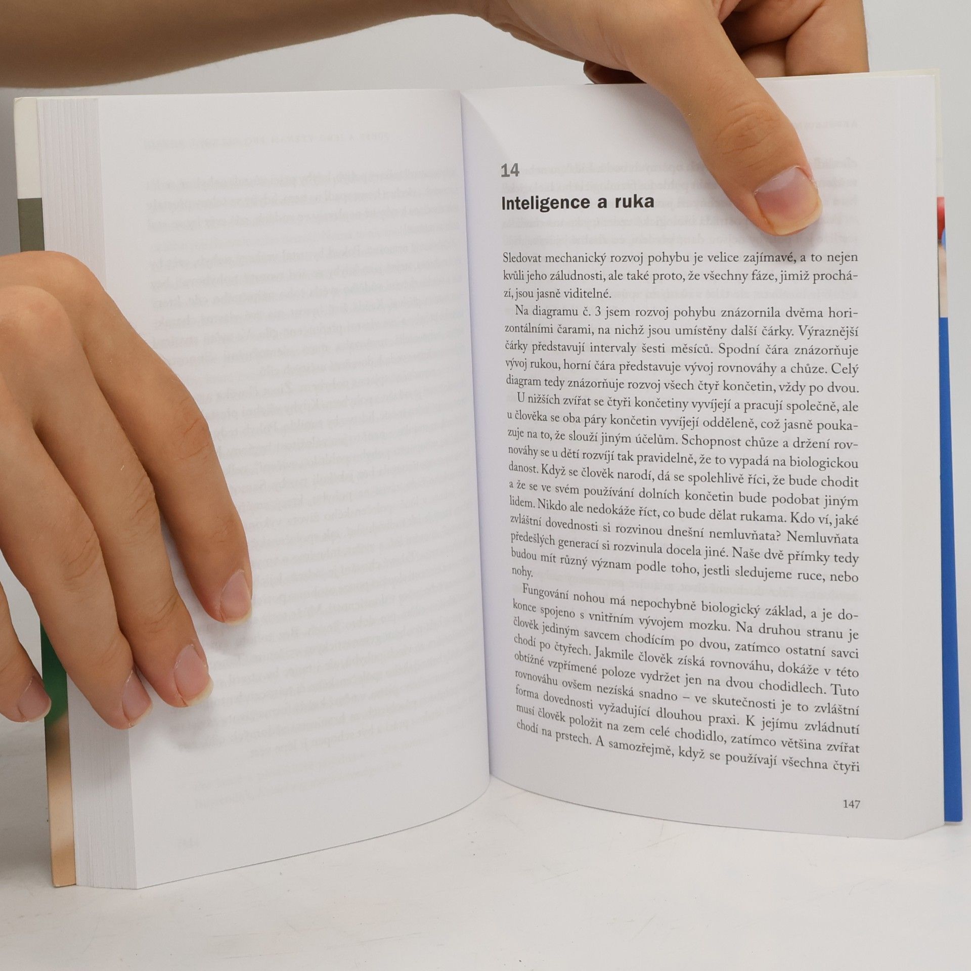 Maria Montessori Absorbující mysl