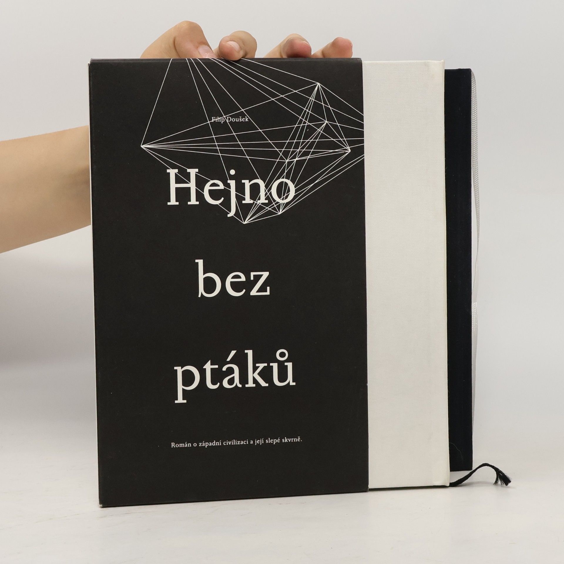 Hejno bez ptáků. Kniha