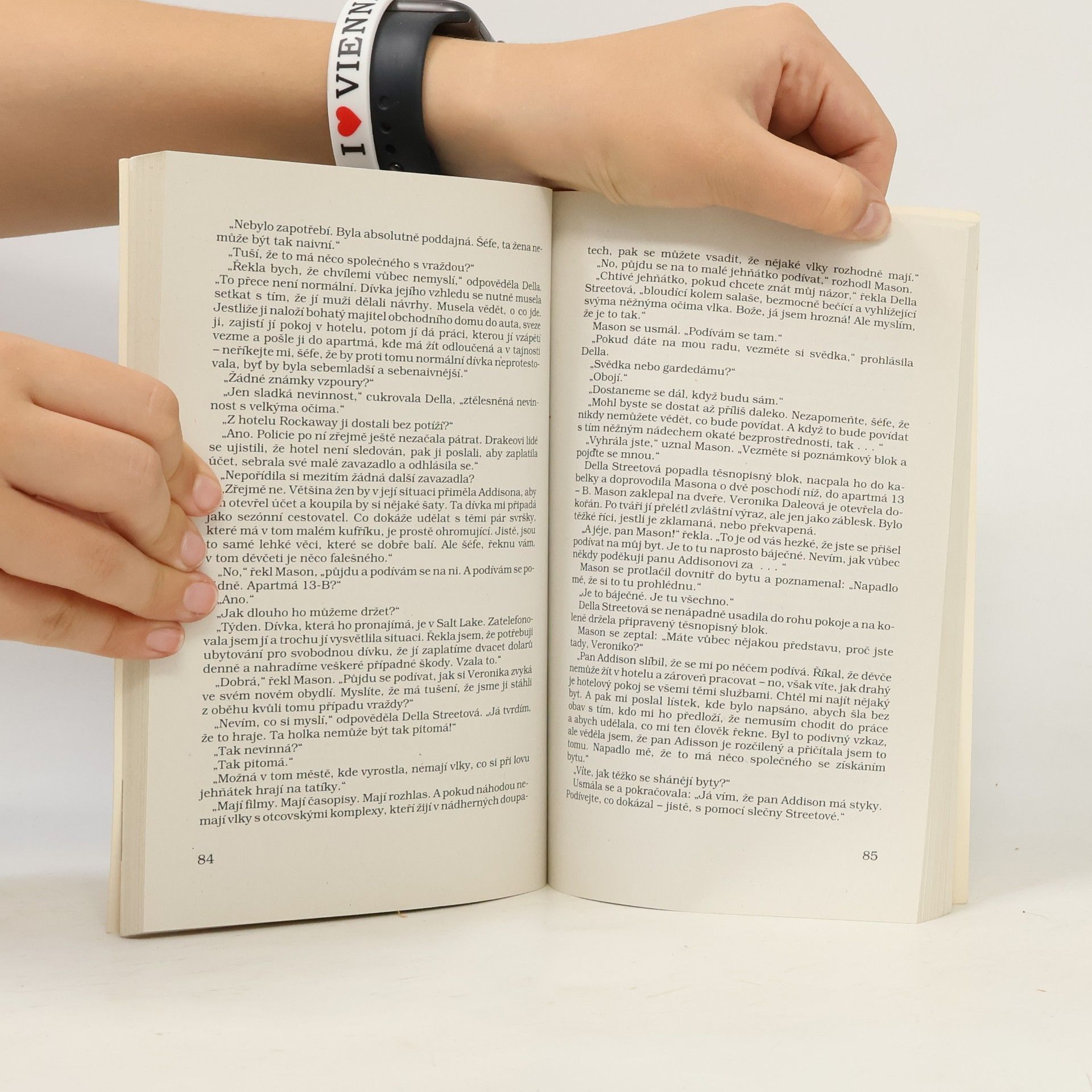 Erle Stanley Gardner Případ toulavé panny