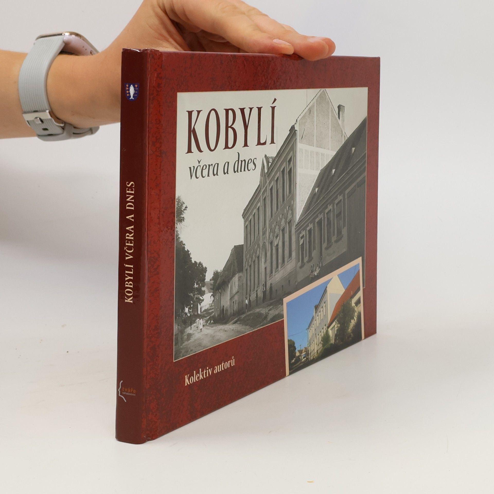 Kolektív autorov Kobylí včera a dnes