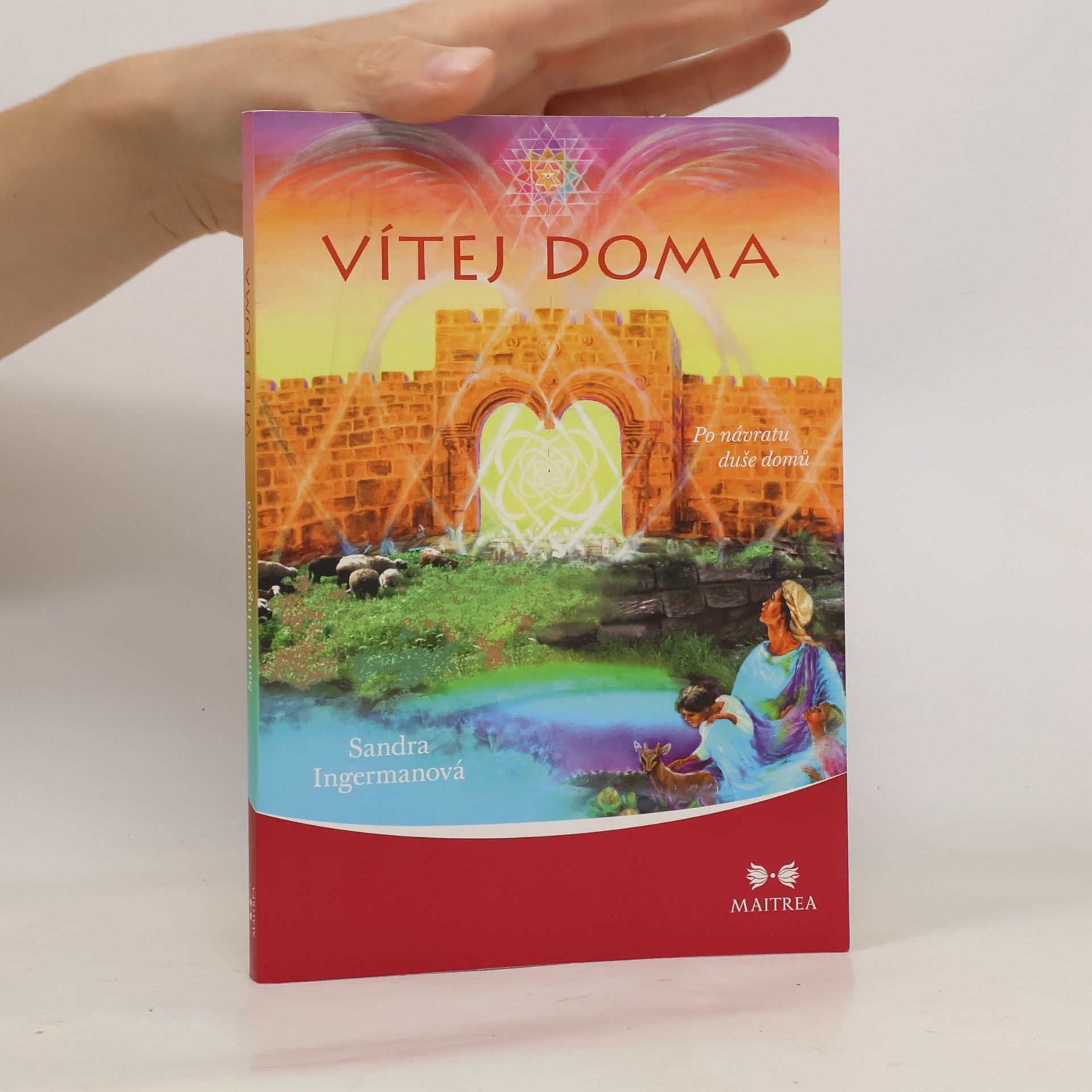 Sandra Ingerman Vítej doma - Po návratu duše domů