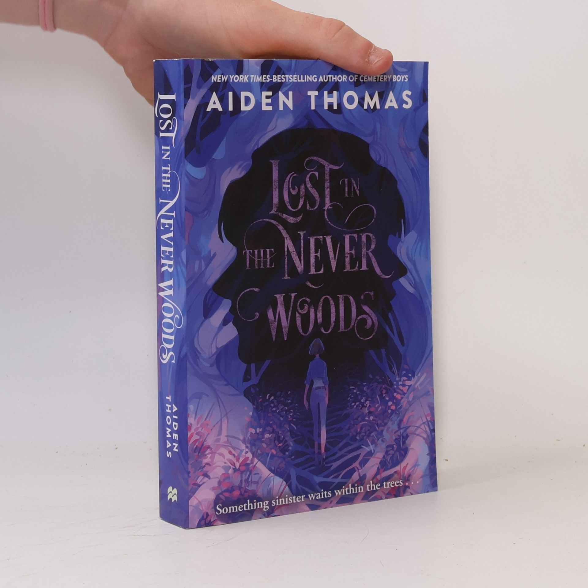 Aiden Thomas Lost in the Never Woods