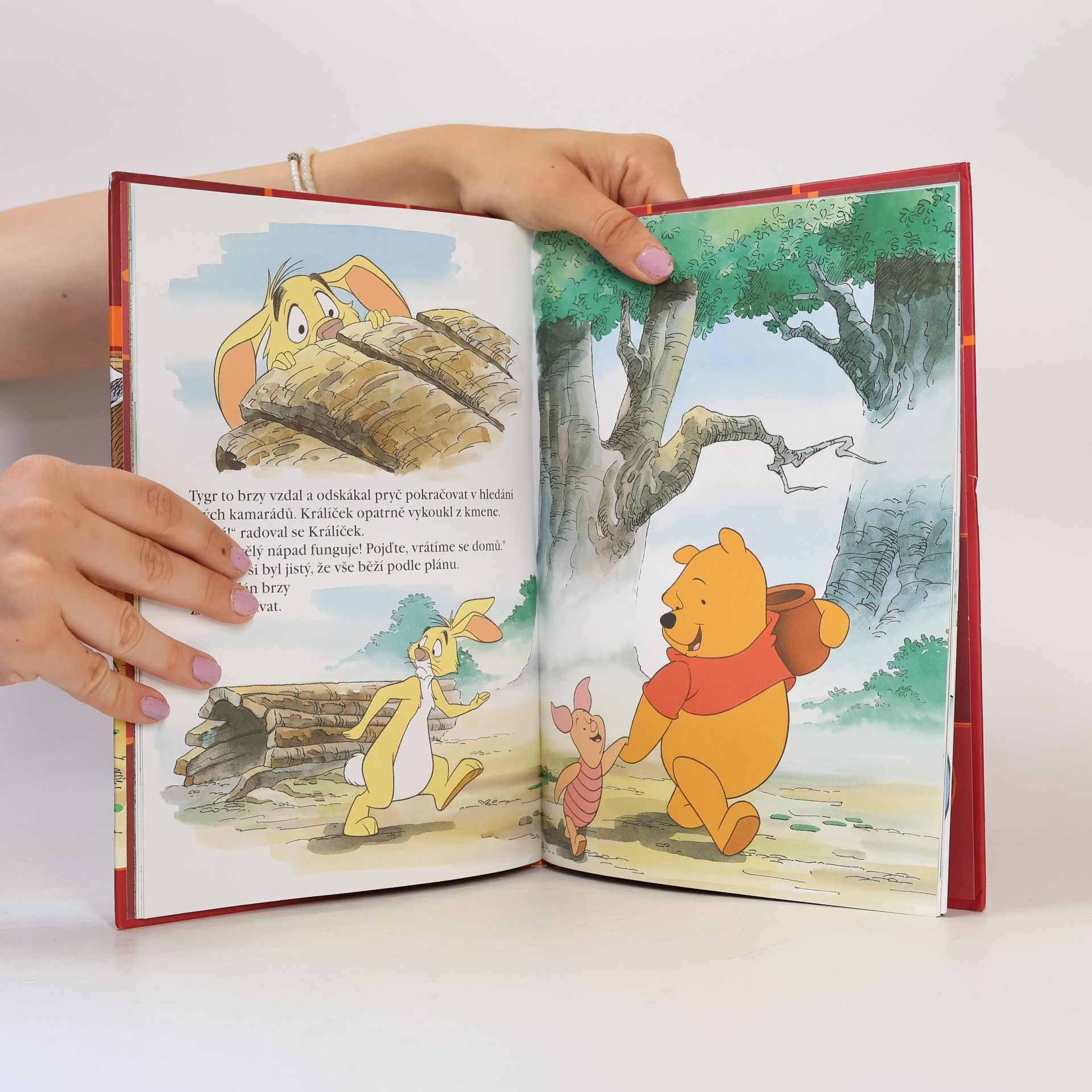 Autorenkollektiv Kouzelné pohádky. Medvídek Pú a Tygr