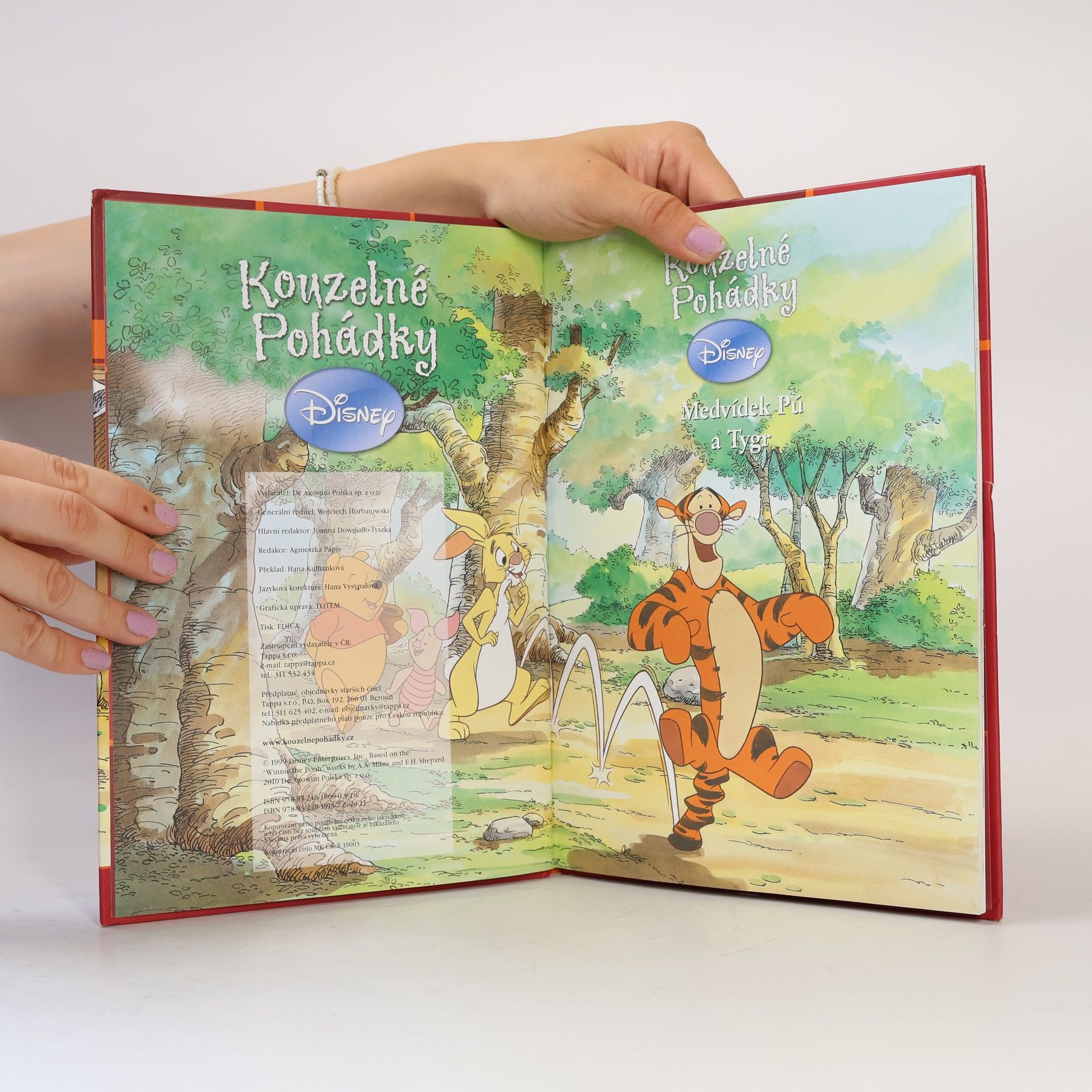 Autorenkollektiv Kouzelné pohádky. Medvídek Pú a Tygr