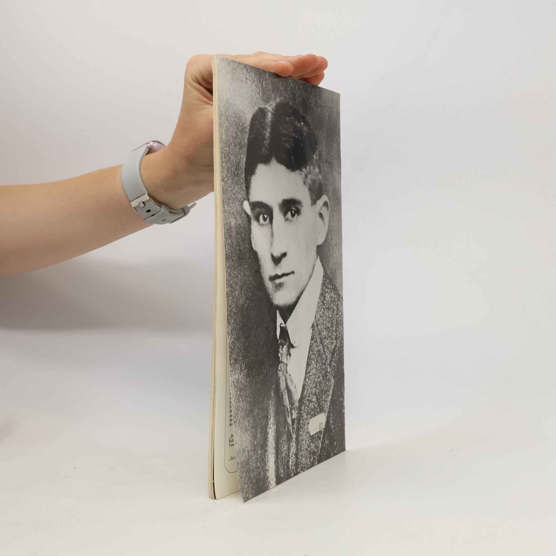 Harald Salfellner Franz Kafka und Prag