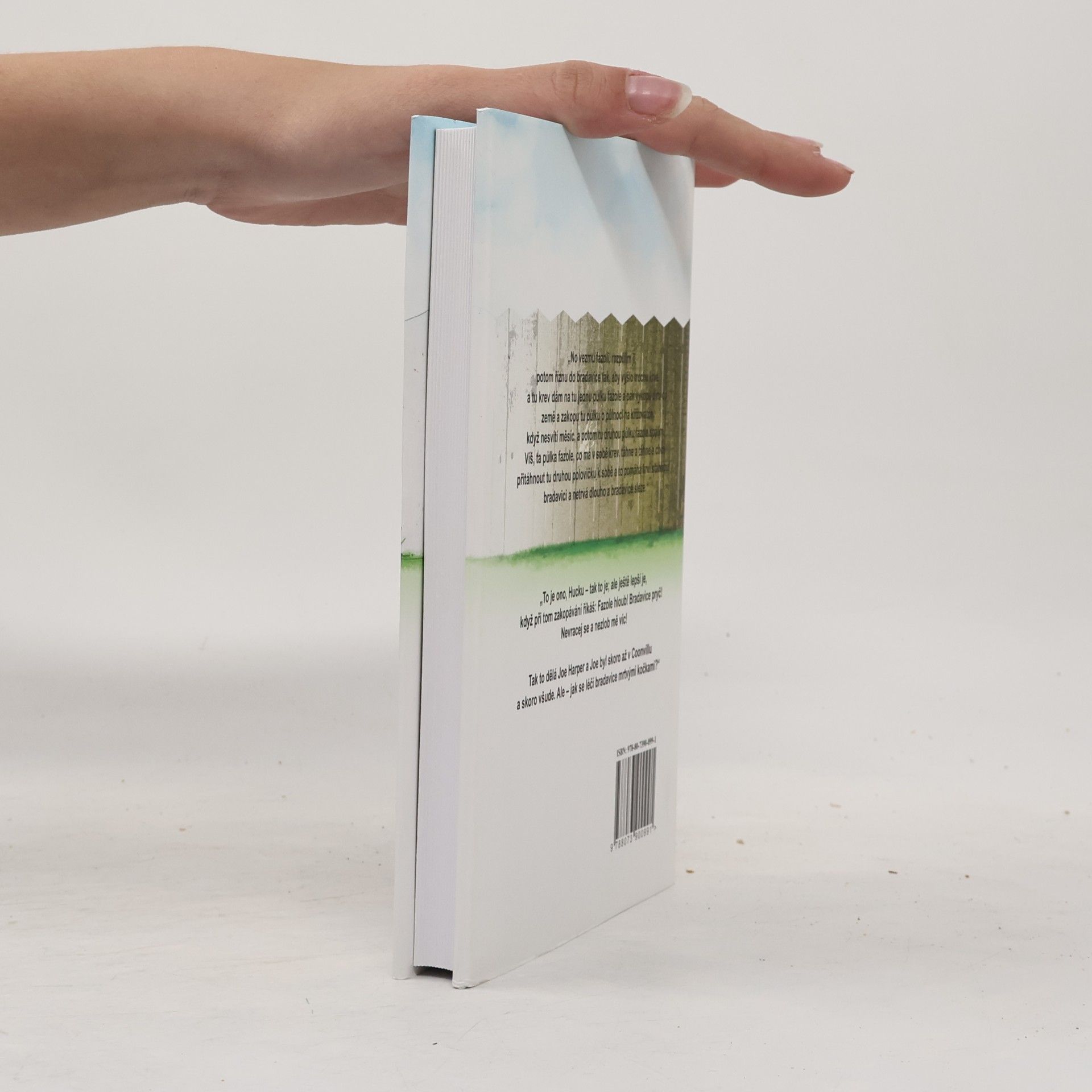 Mark Twain Dobrodružství Toma Sawyera