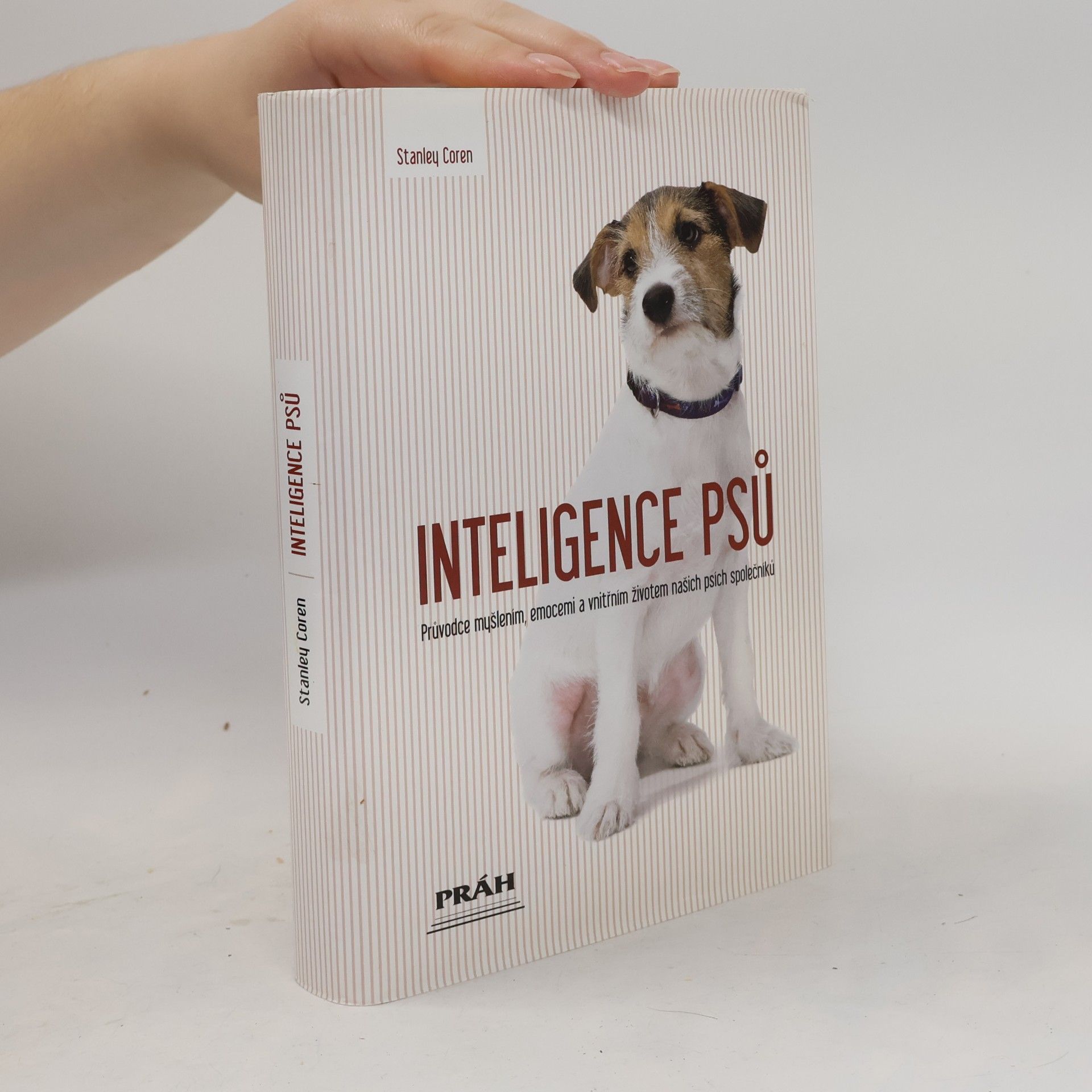 Inteligence psů