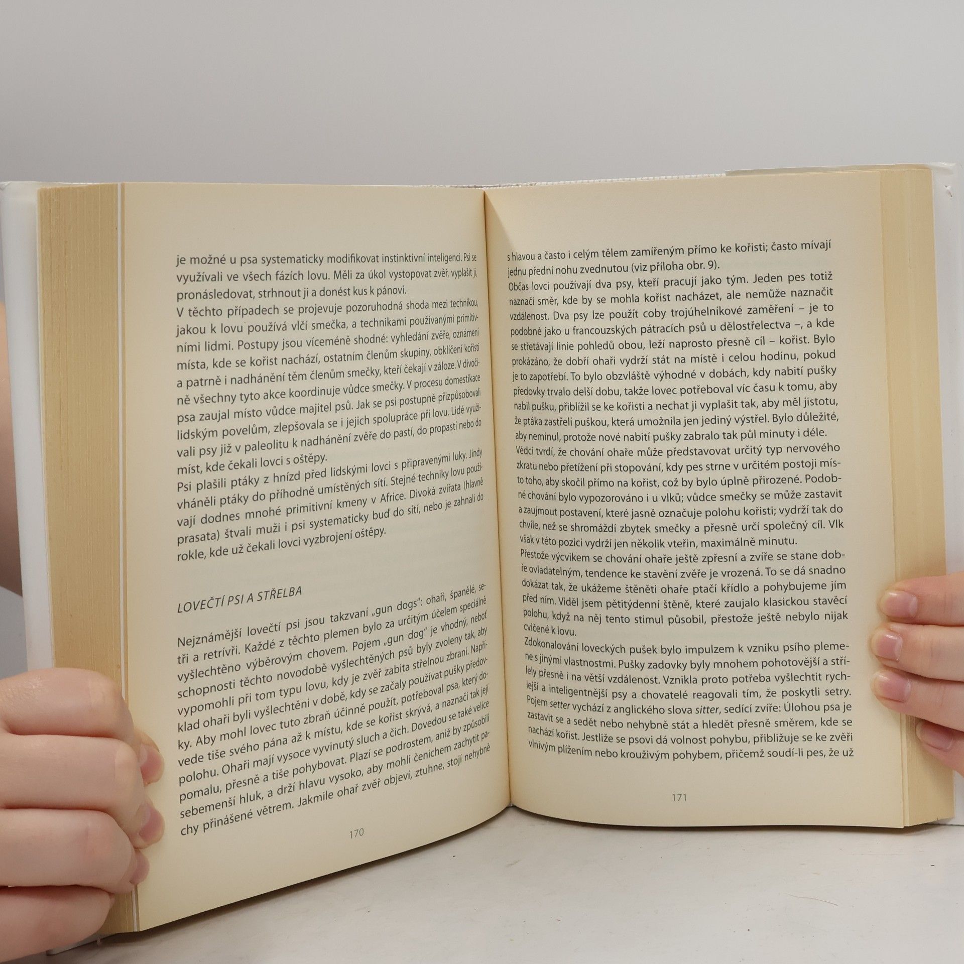 Stanley Coren Inteligence psů
