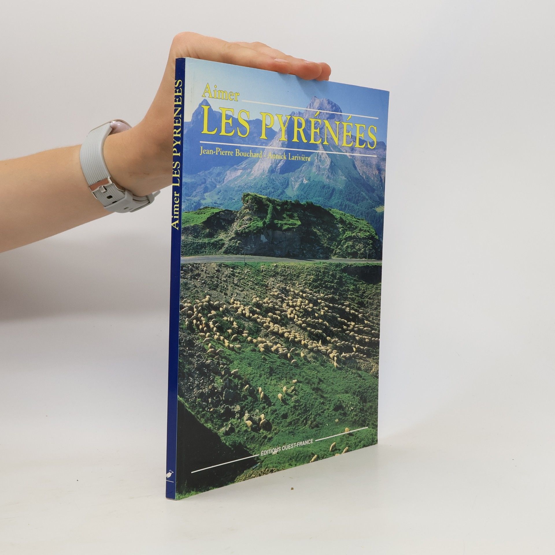 Collectif d'auteurs Les Pyrénées