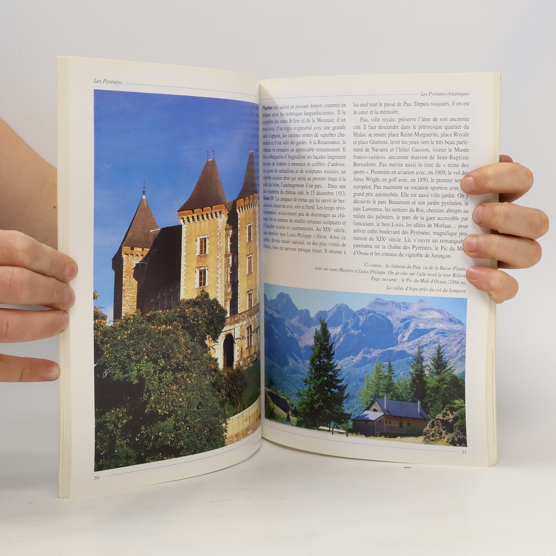 Various authors Les Pyrénées