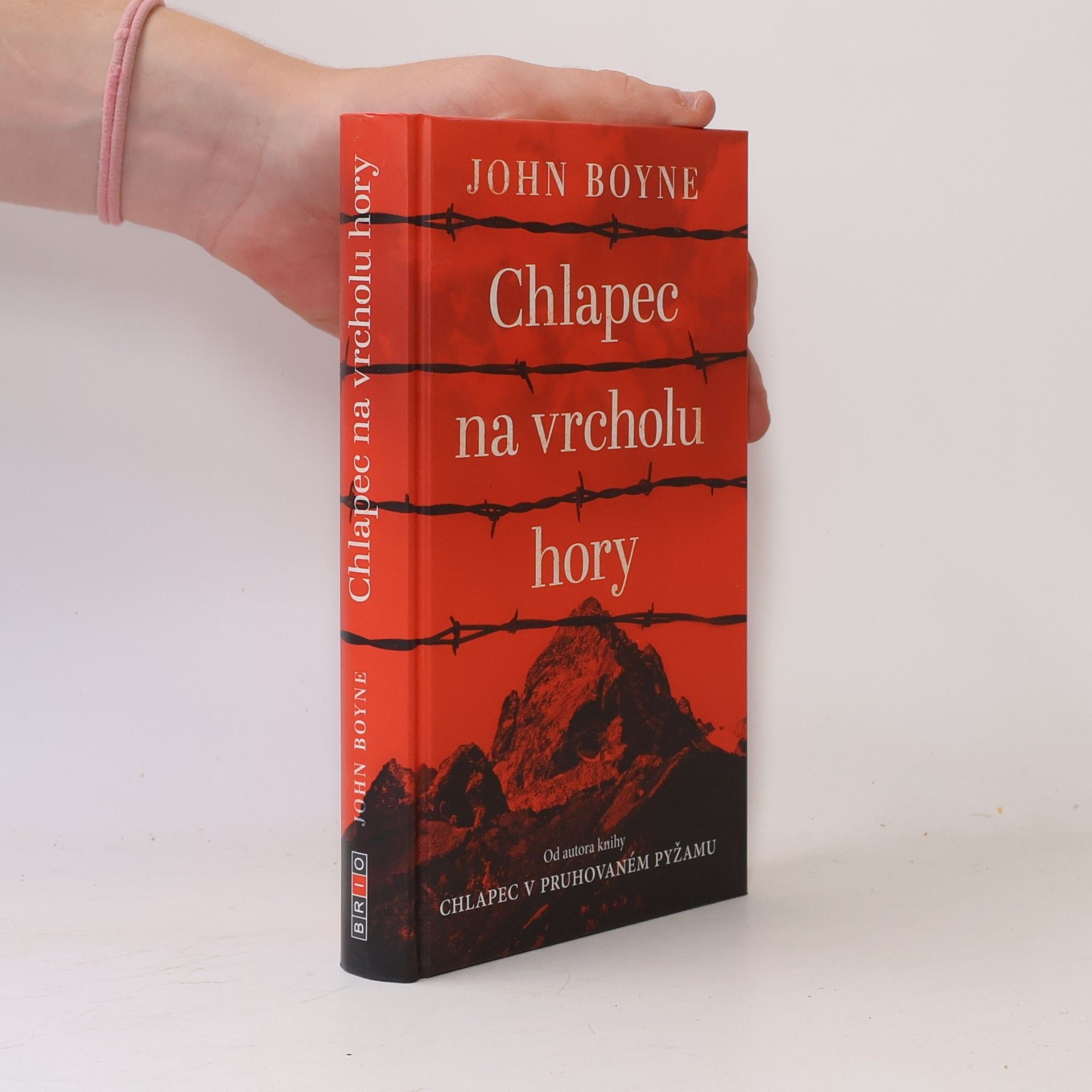 John Boyne Chlapec na vrcholu hory